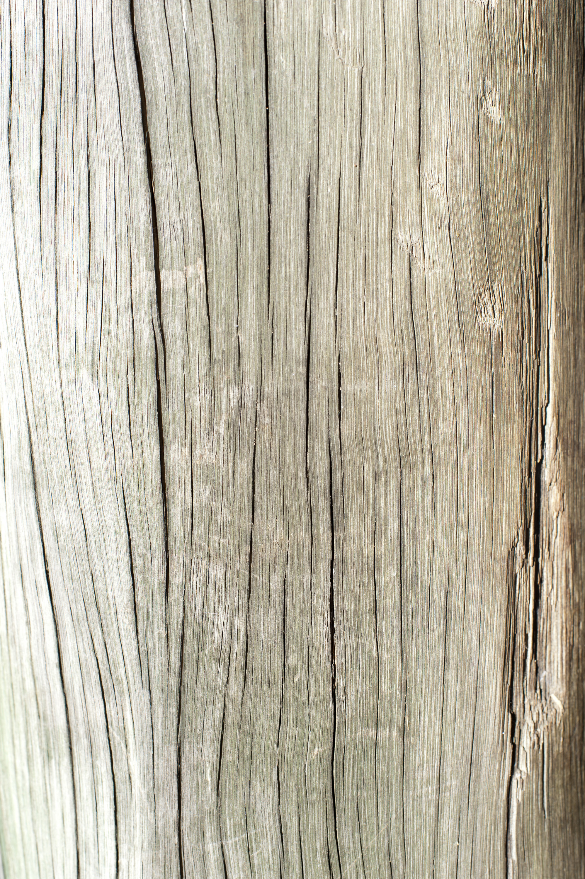 Free image of cracked timber post