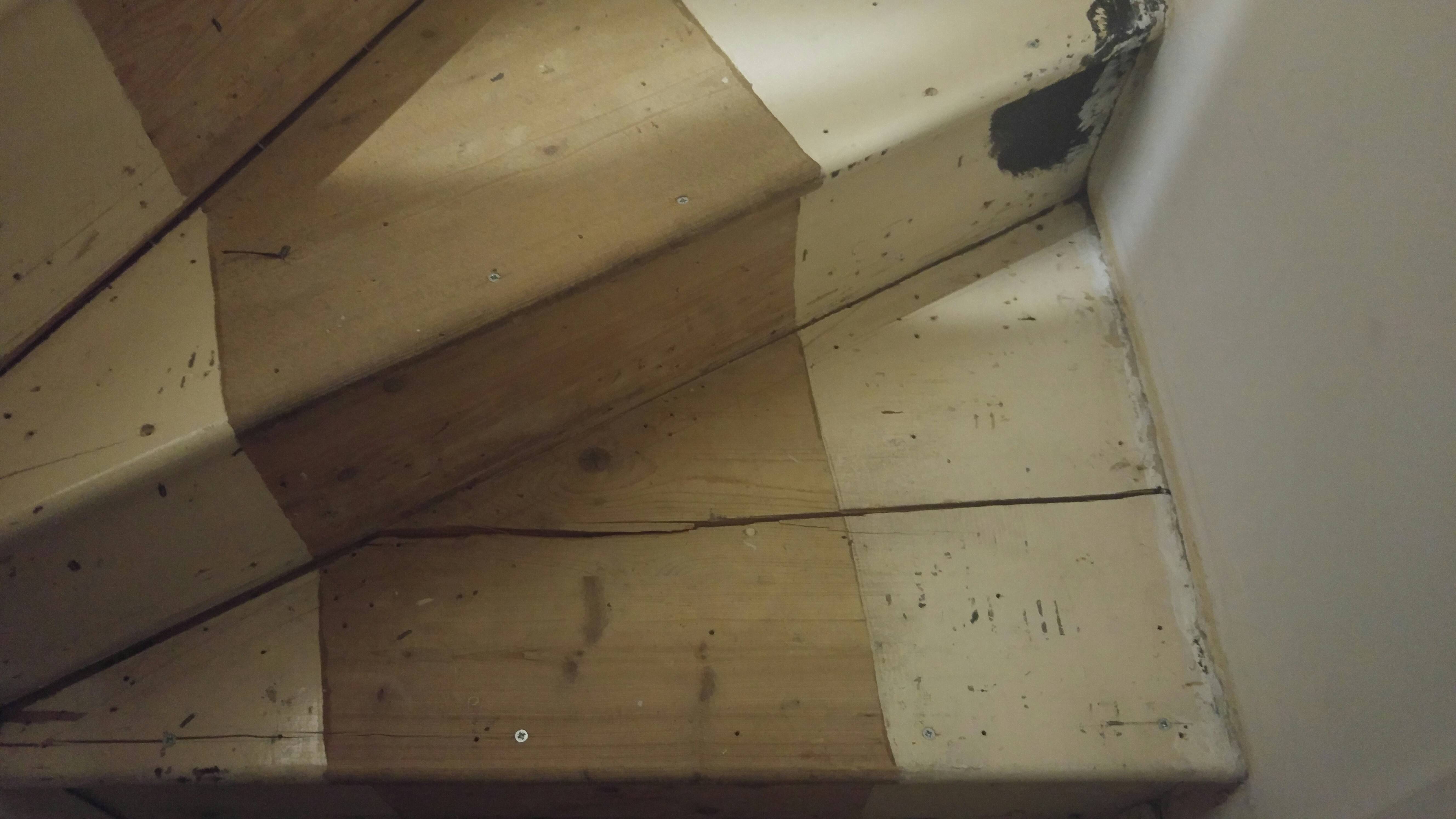 carpentry - Stair tread damage - repairable/replaceable? (photo ...