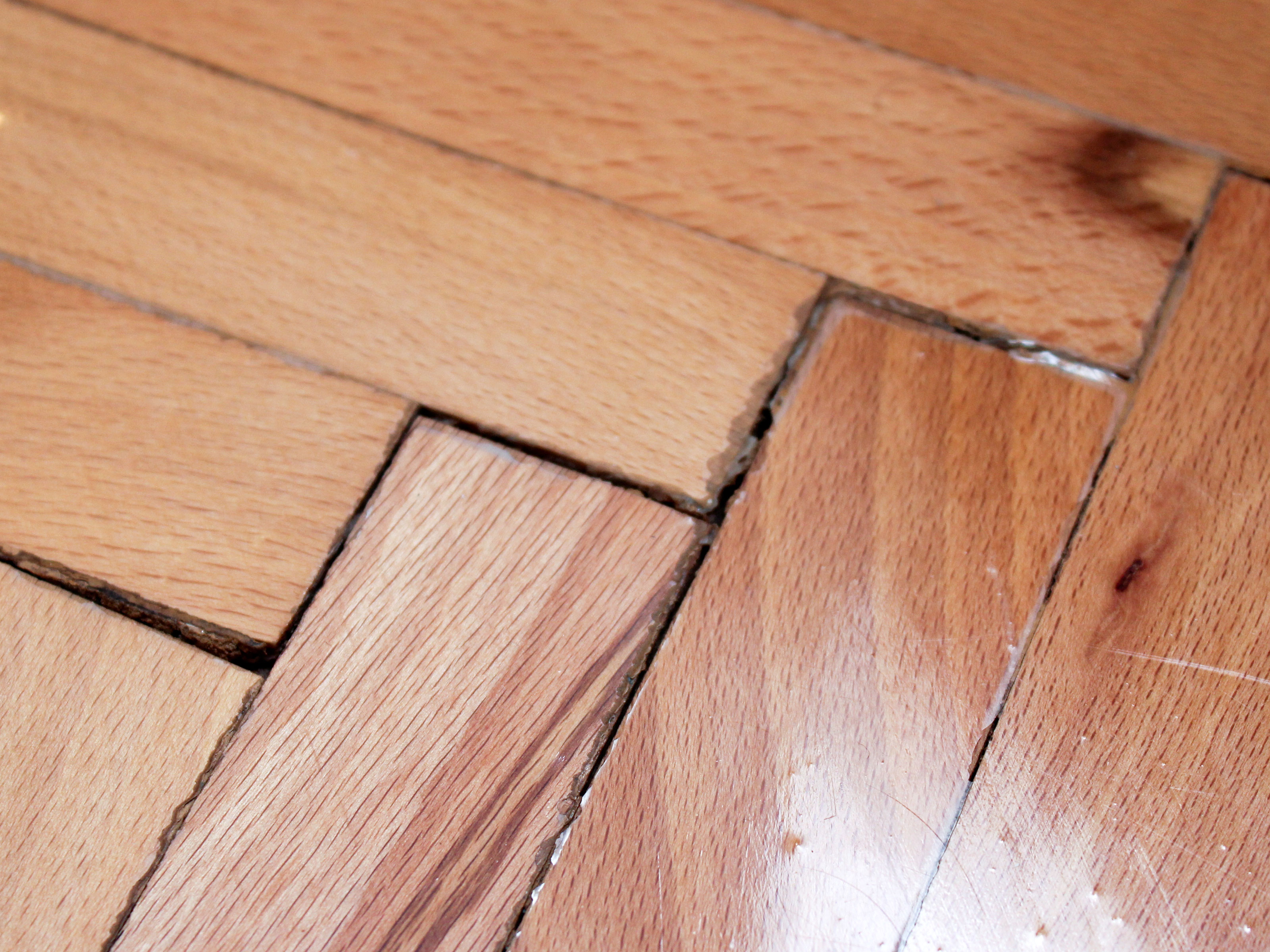 How to Repair Cracks in Wood Floors: 8 Steps (with Pictures)