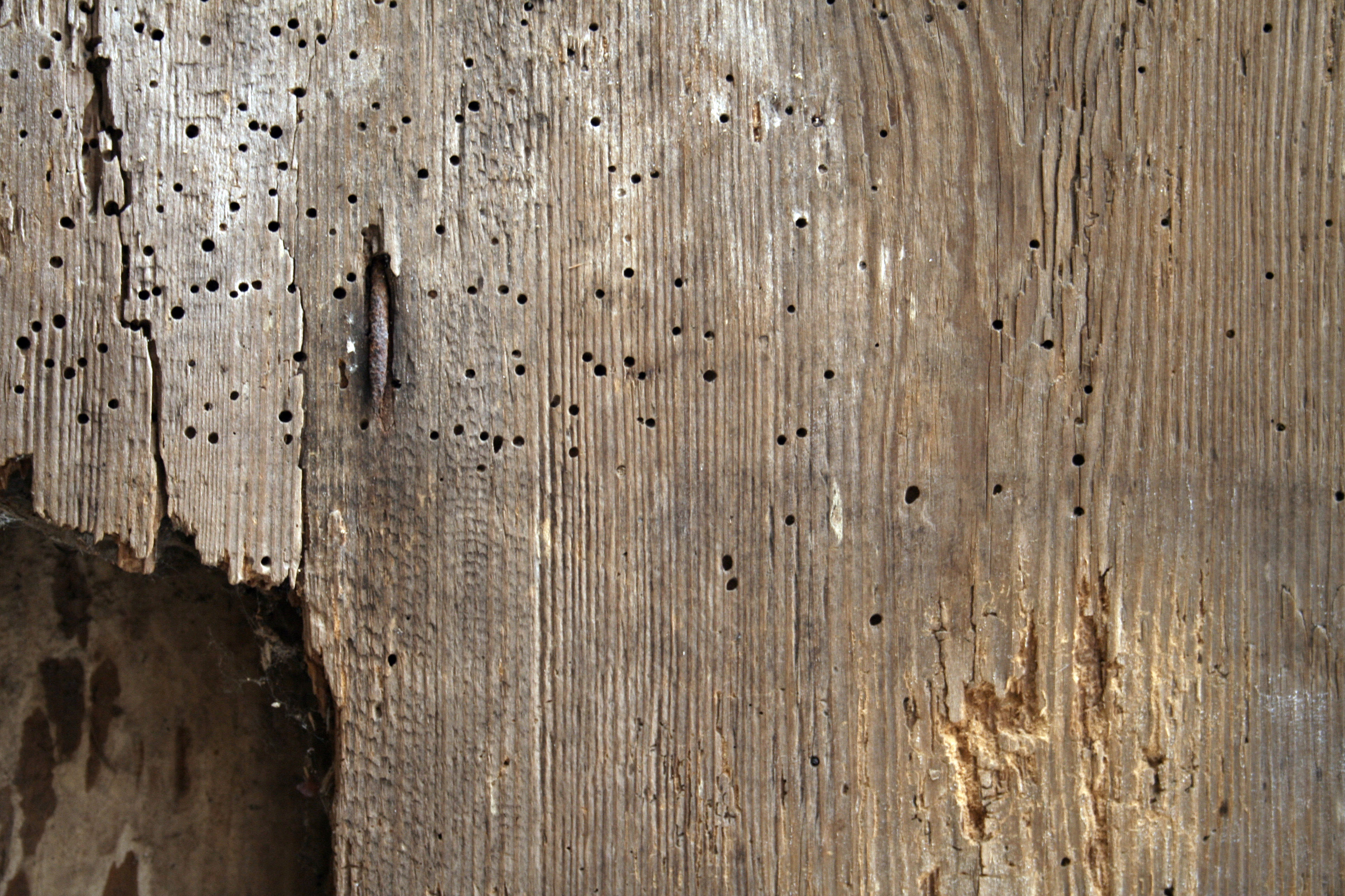 Cracked old wood – Free stock texture | Textures for photoshop free