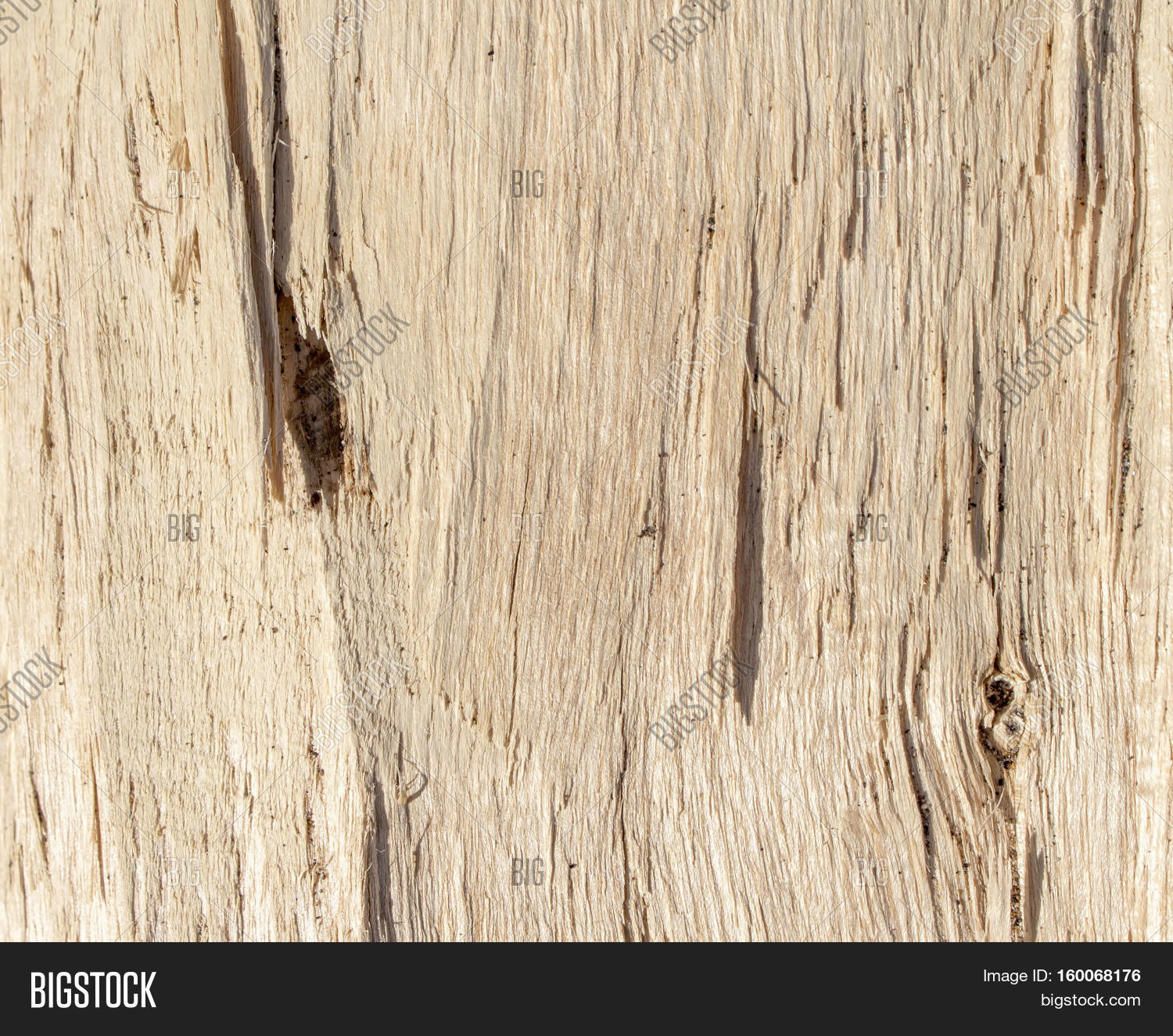 Wood Texture Cracked Tree Under Image & Photo | Bigstock