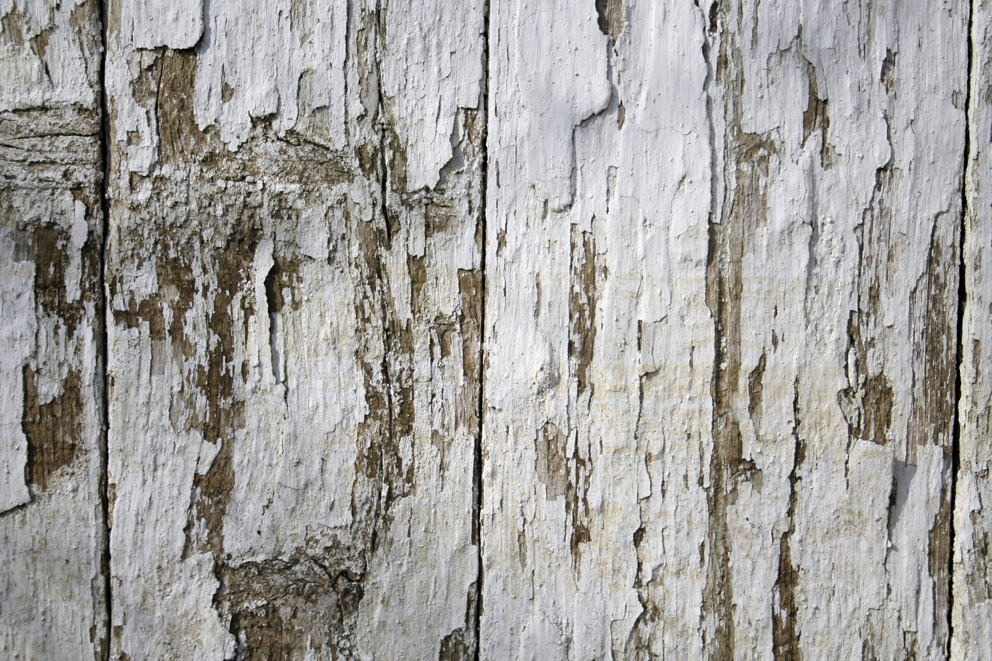 Download white wood fence texture | Textures for photoshop free