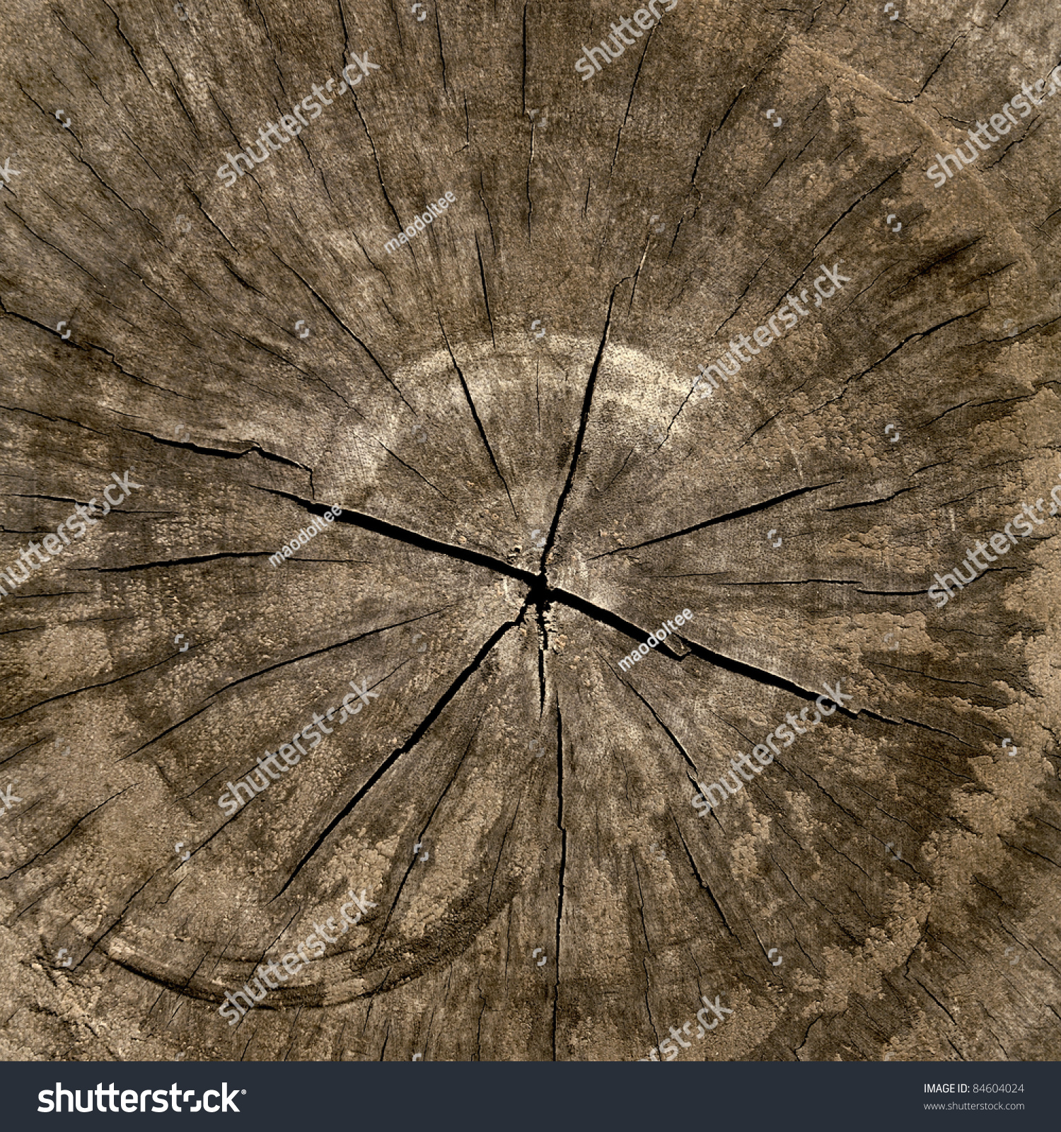 Cracked Section Wood Texture Stock Photo (Royalty Free) 84604024 ...