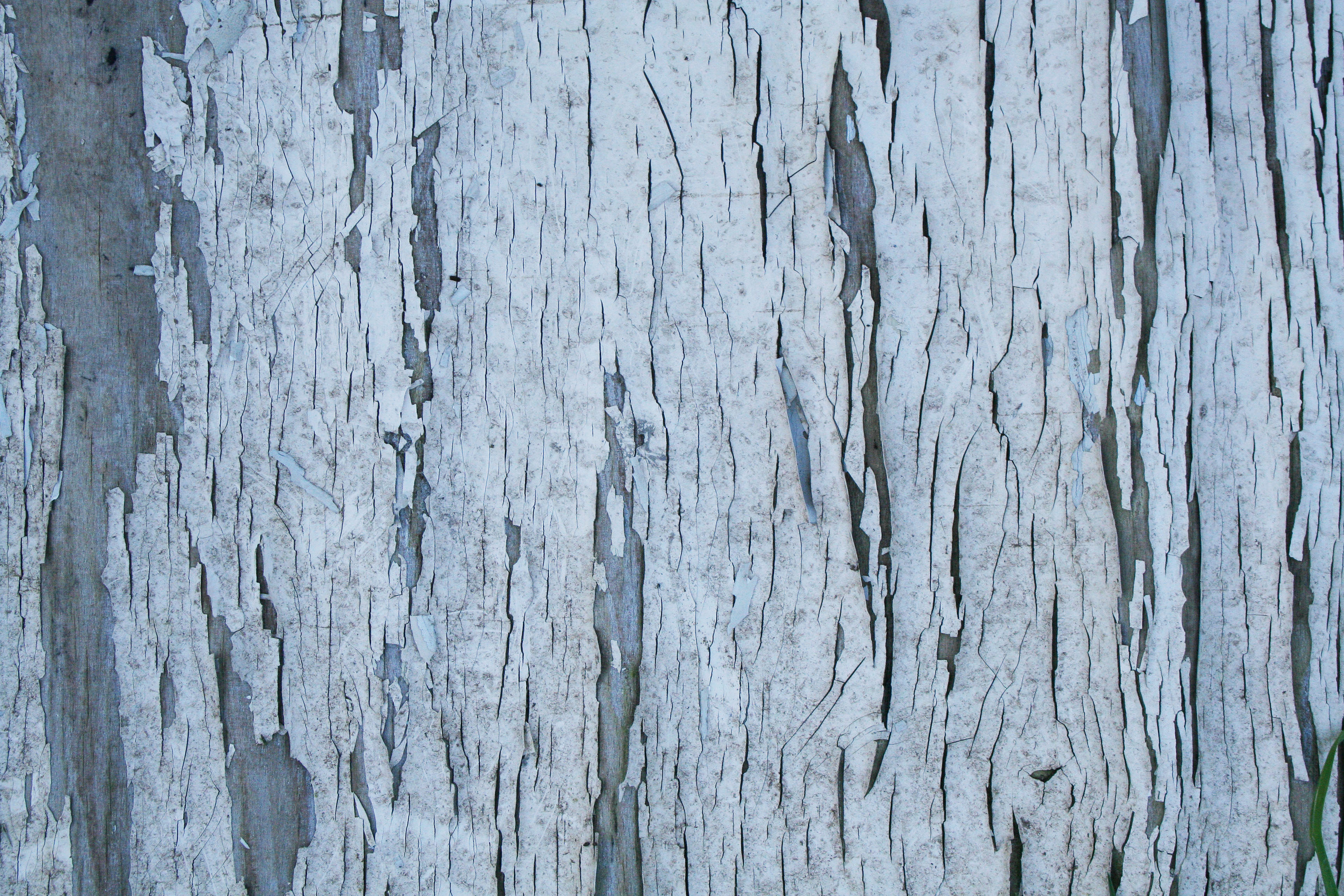 Wood texture with cracked white paint | Textures for photoshop free