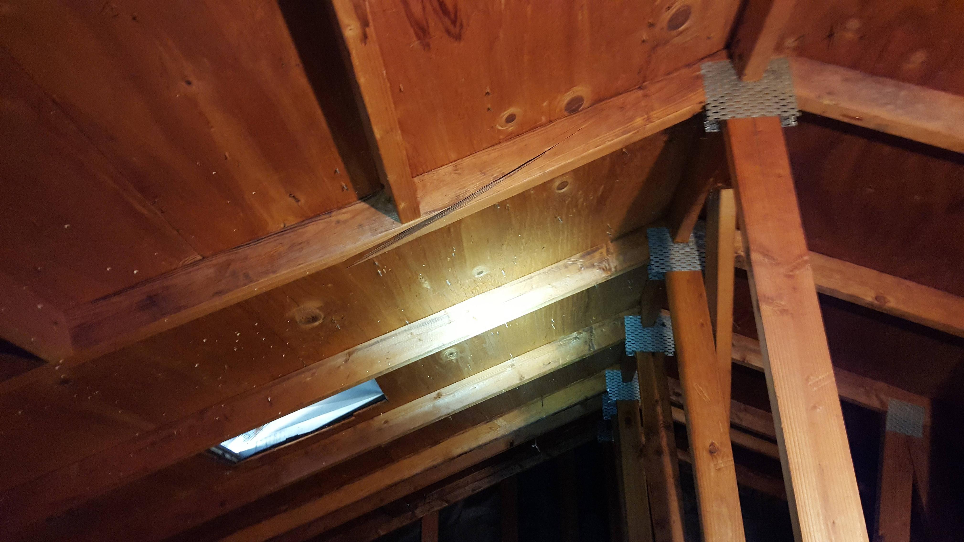 drywall - Cracked rafter fix and loose truss plates - Home ...