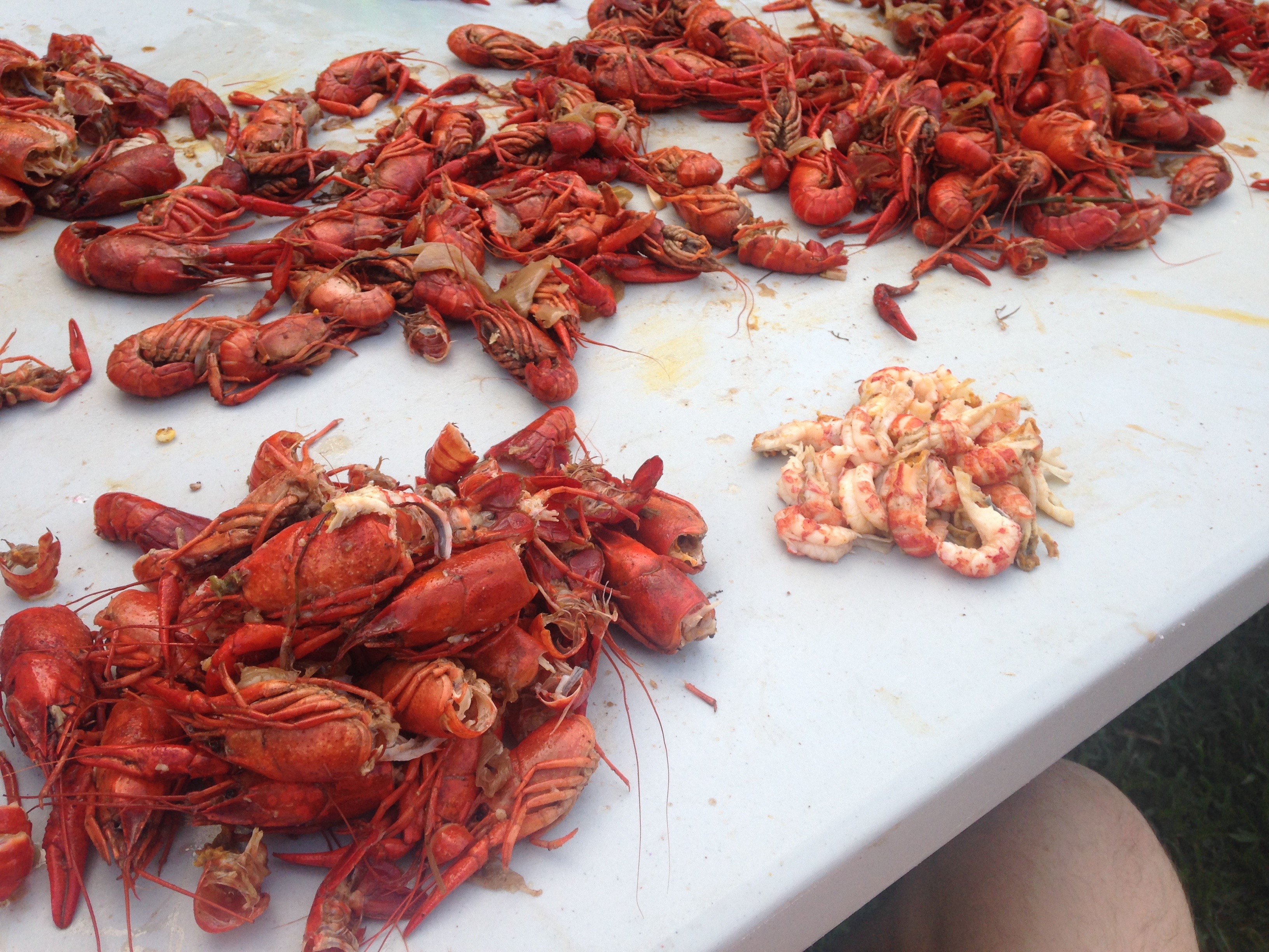 The 7 Types Of Crawfish-Eaters