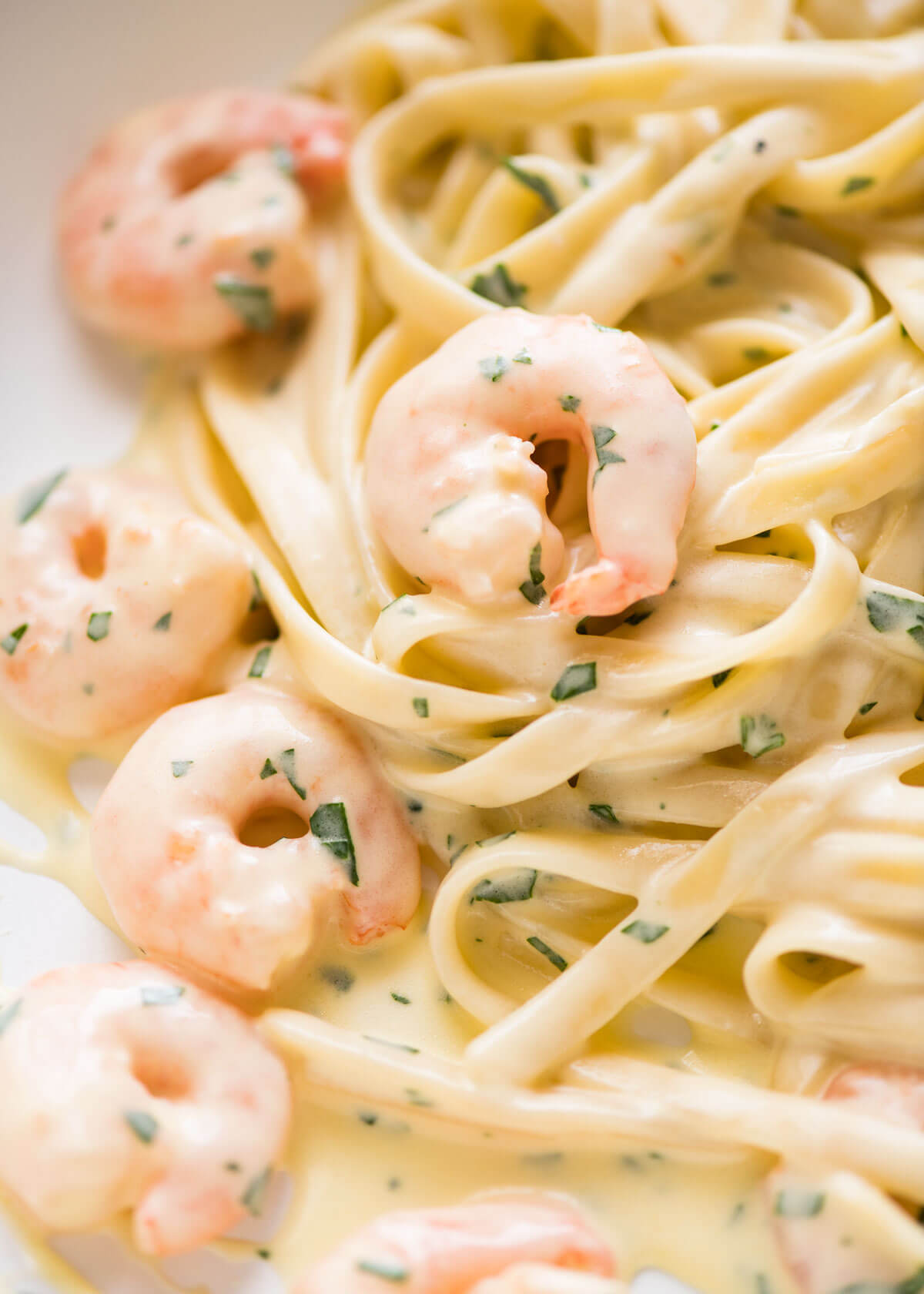 Creamy Garlic Prawn Pasta | RecipeTin Eats