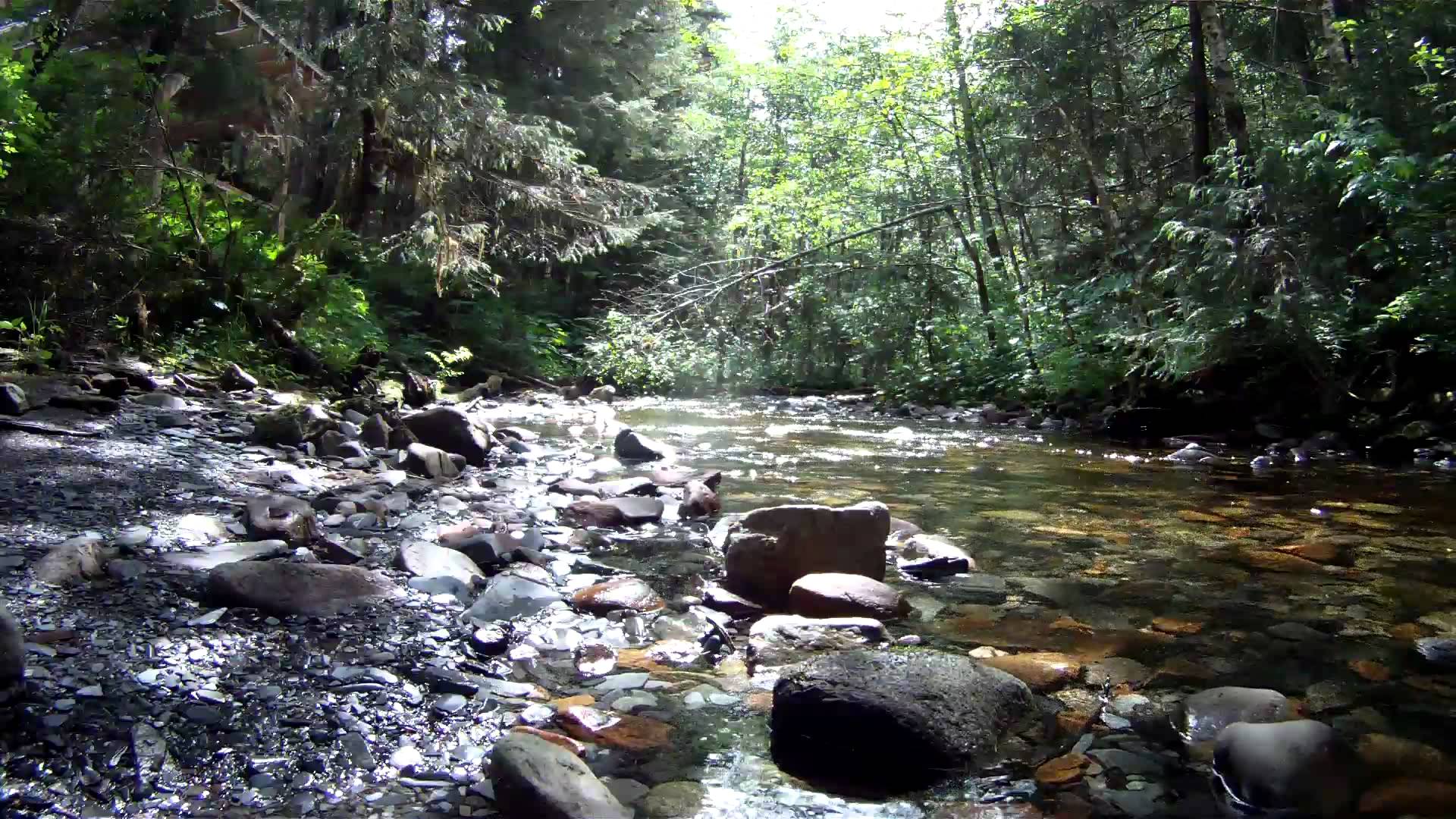 Ten Relaxing Minutes By The Beautiful Creek - YouTube