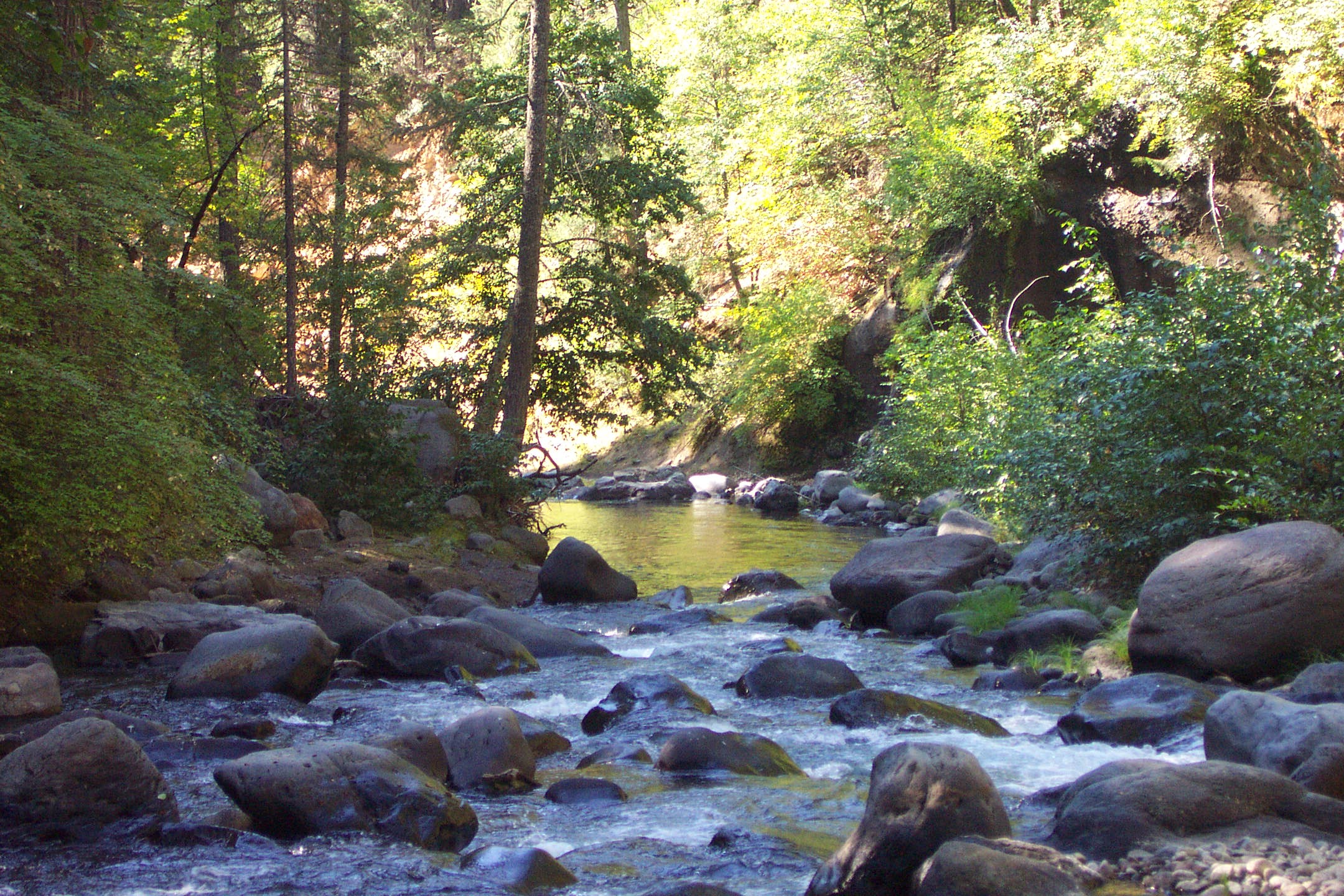 Mill Creek and Deer Creek, California | National Fish Habitat ...