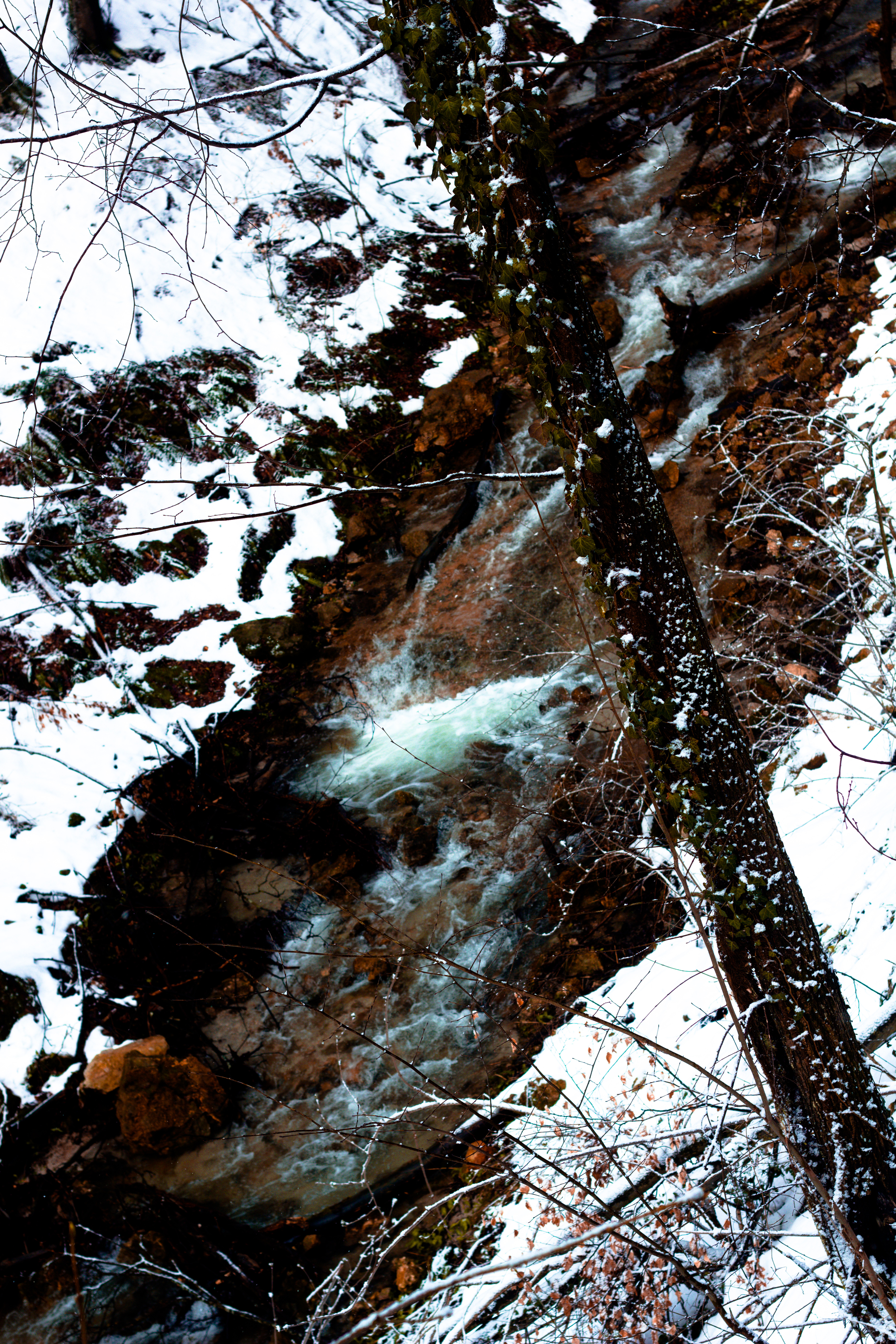 Creek in the winter photo
