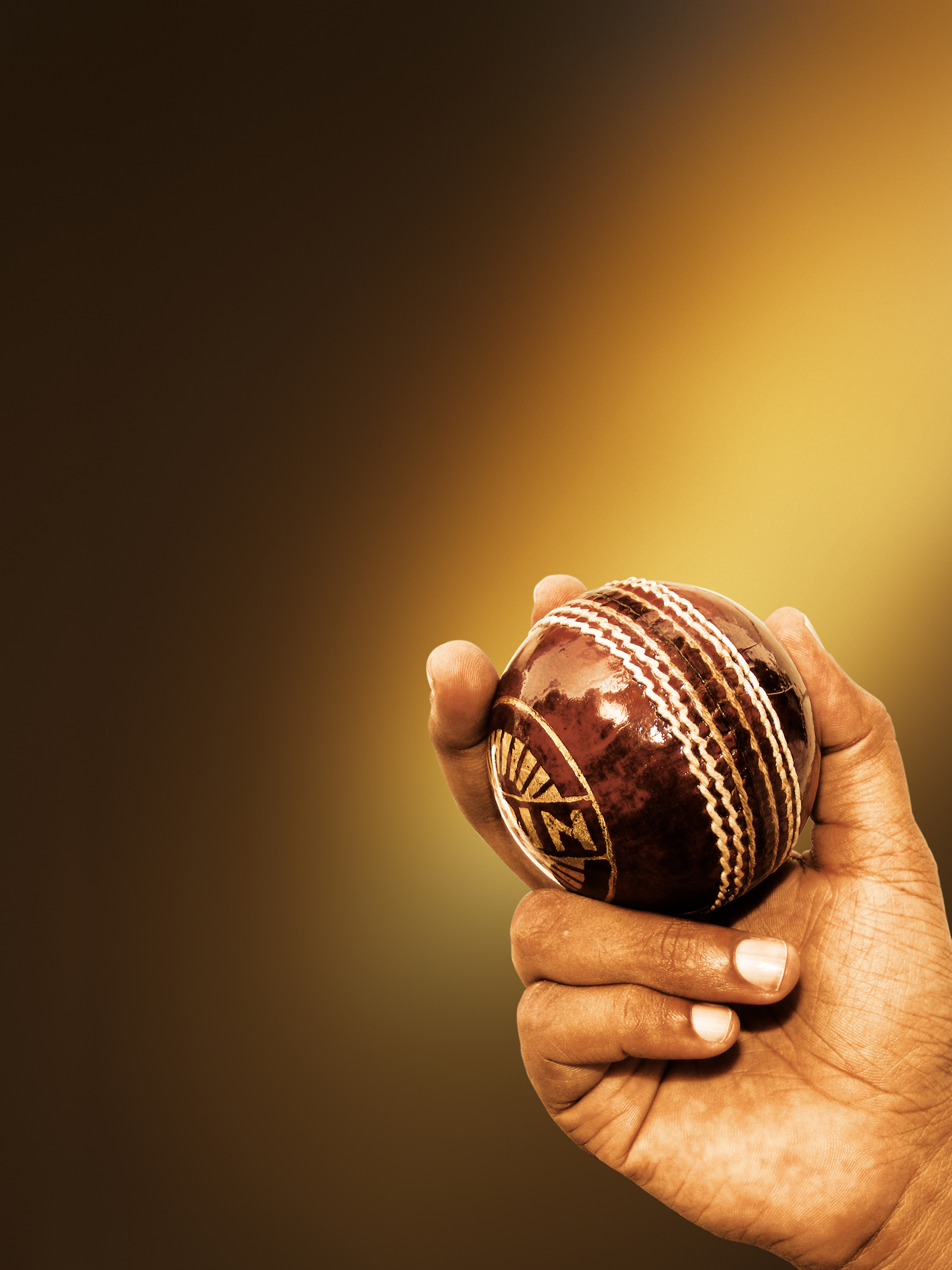 Cricket ball photo