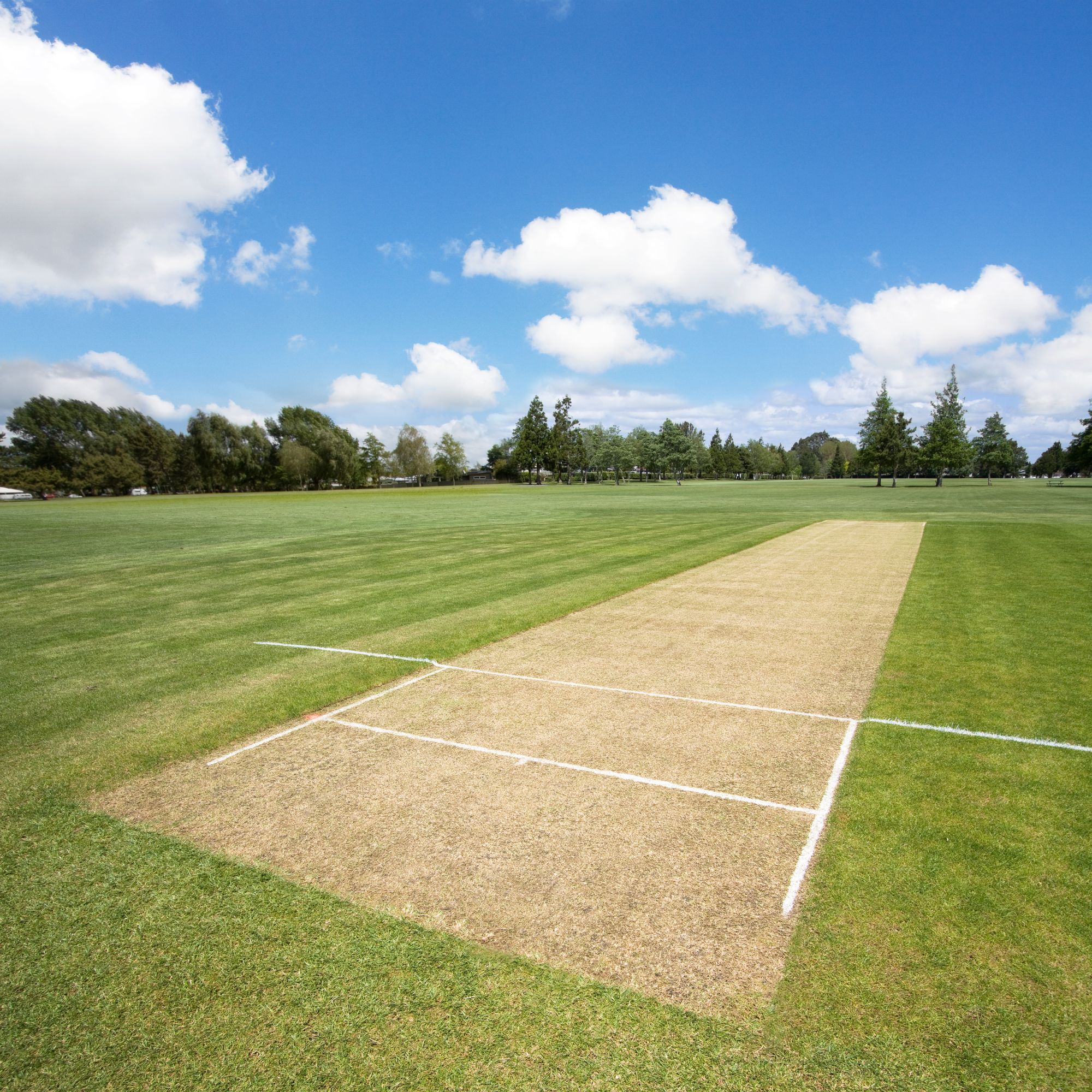 Cricket pitch in the sports park - background with copy space ...