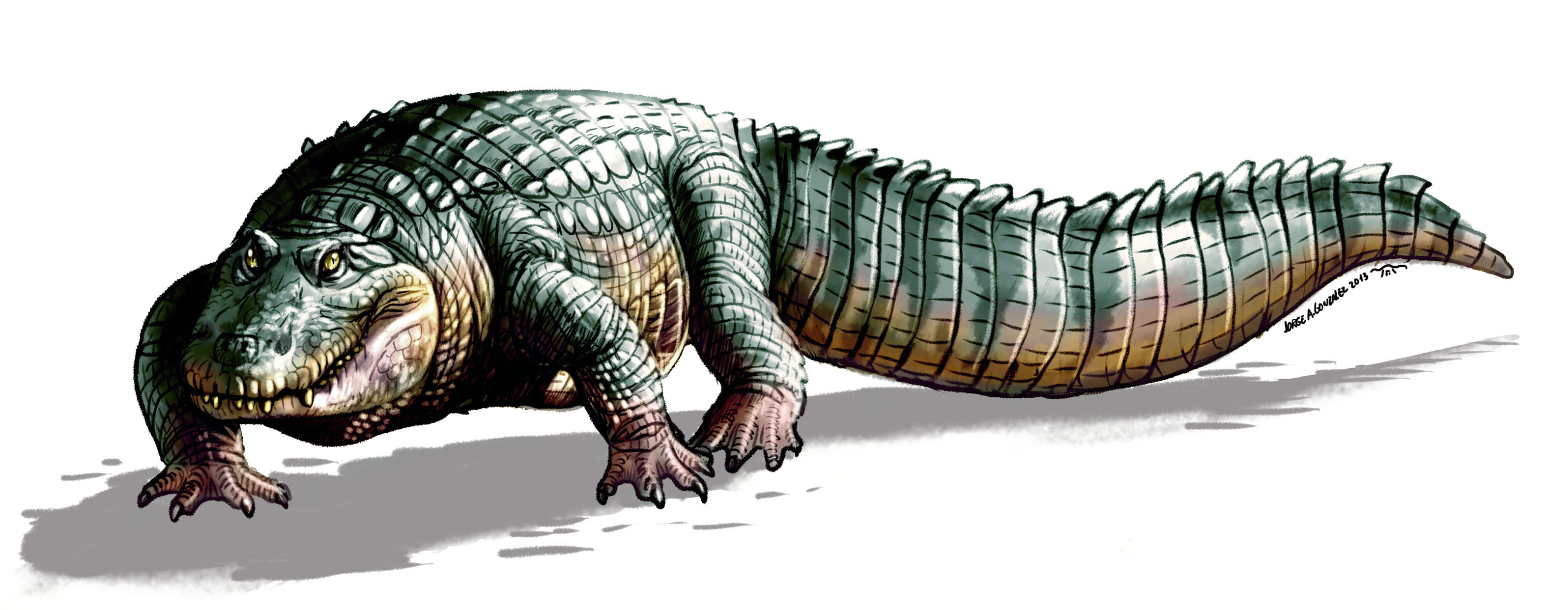14 closely related crocodiles existed around five million years ago