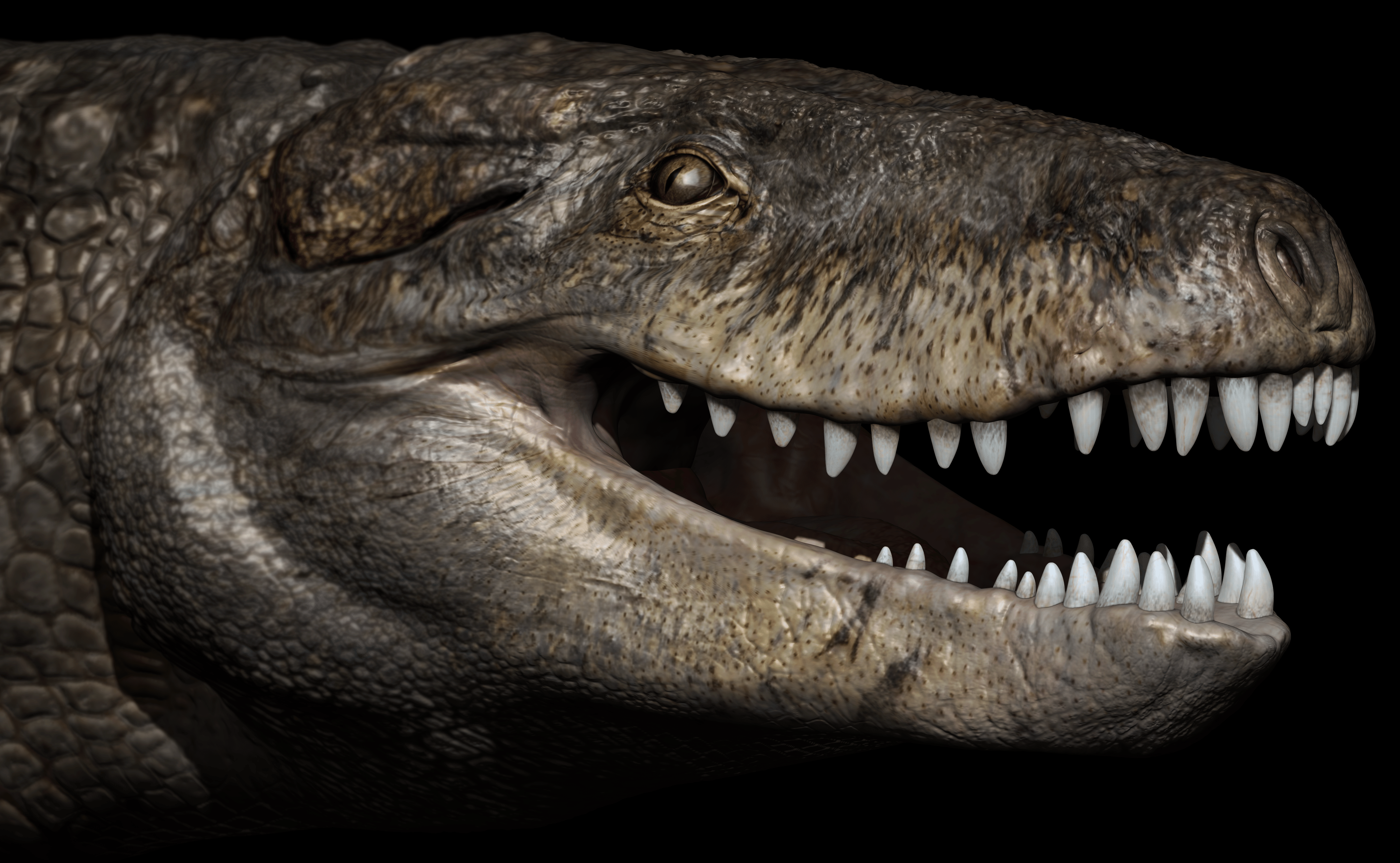 This ancient one-ton crocodile had steak knives for teeth | Popular ...