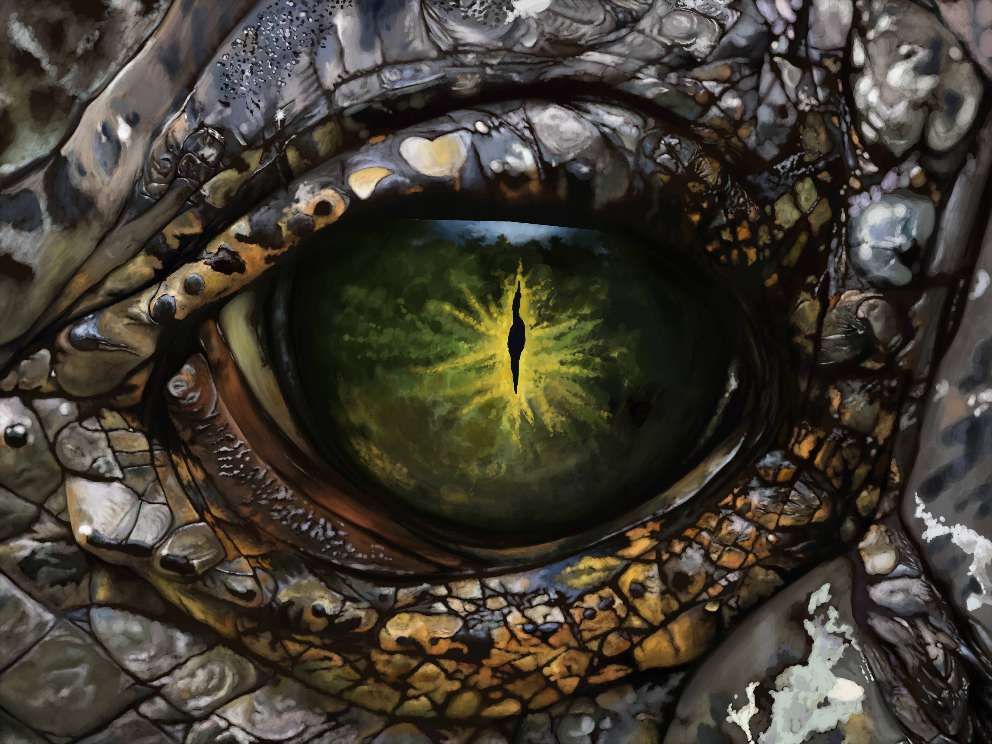 crocodile eyes - Google Search | Eyes | Pinterest | Crocodile eyes