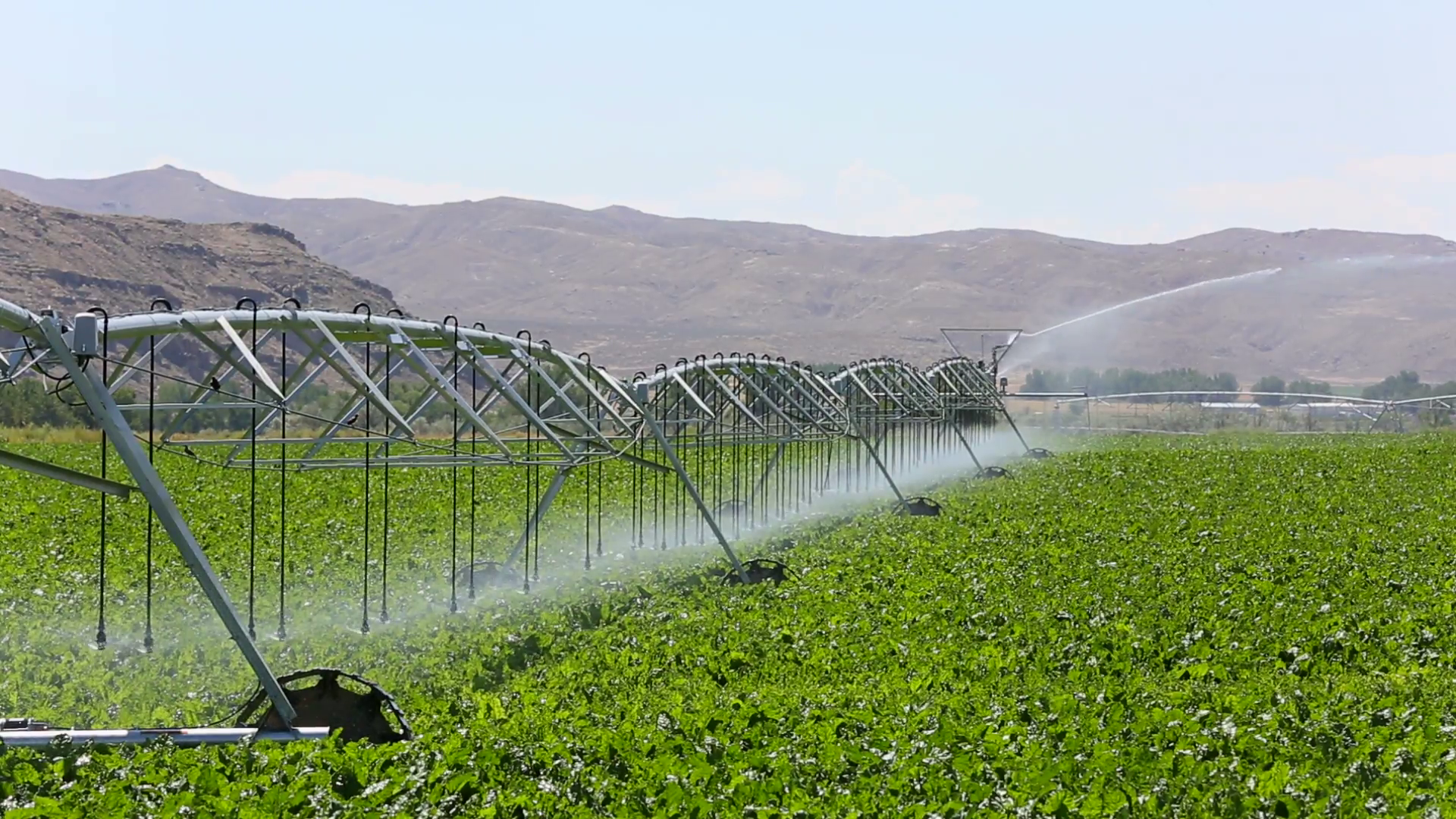 A modern center pivot crop irrigation system waters a field. Stock ...