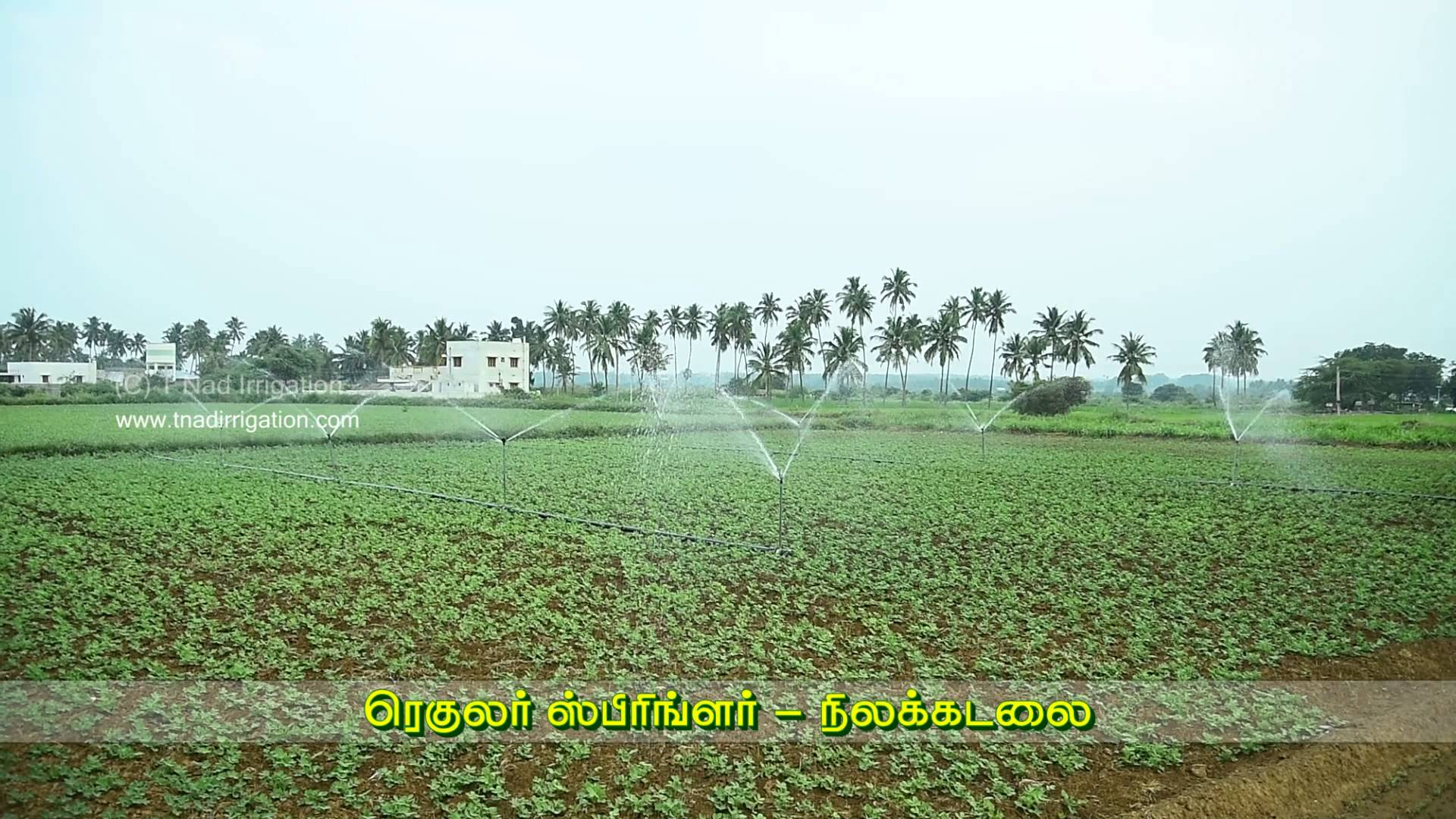 Portable Regular Impact Sprinkler for Groundnut Crop- Tamilnad ...