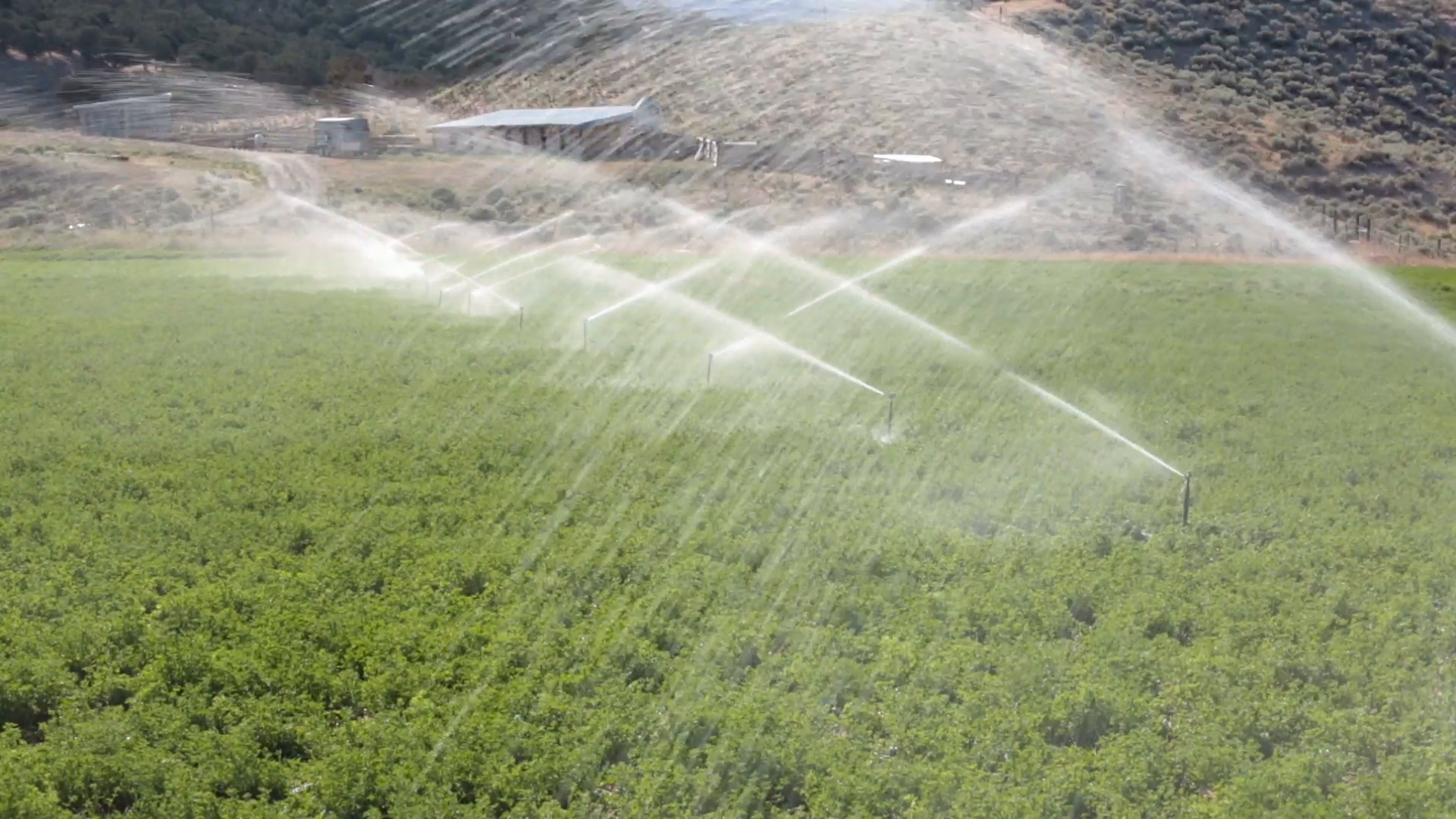 Farm crop irrigation sprinklers. Farm irrigation sprinkler line ...