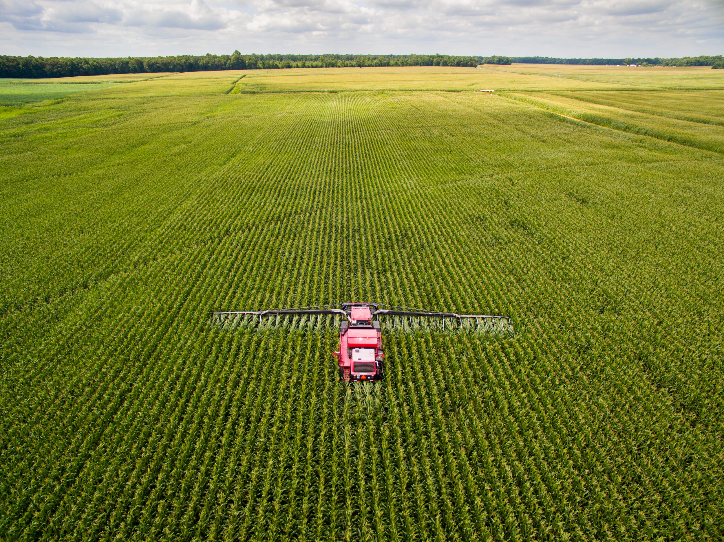 Can cover crops clean up the Corn Belt?