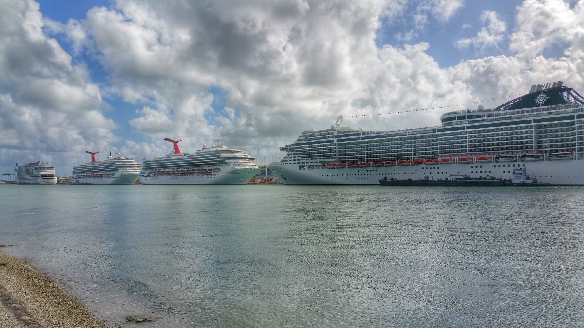 Miami: Best spots to watch Cruise Ships - Gate to Adventures