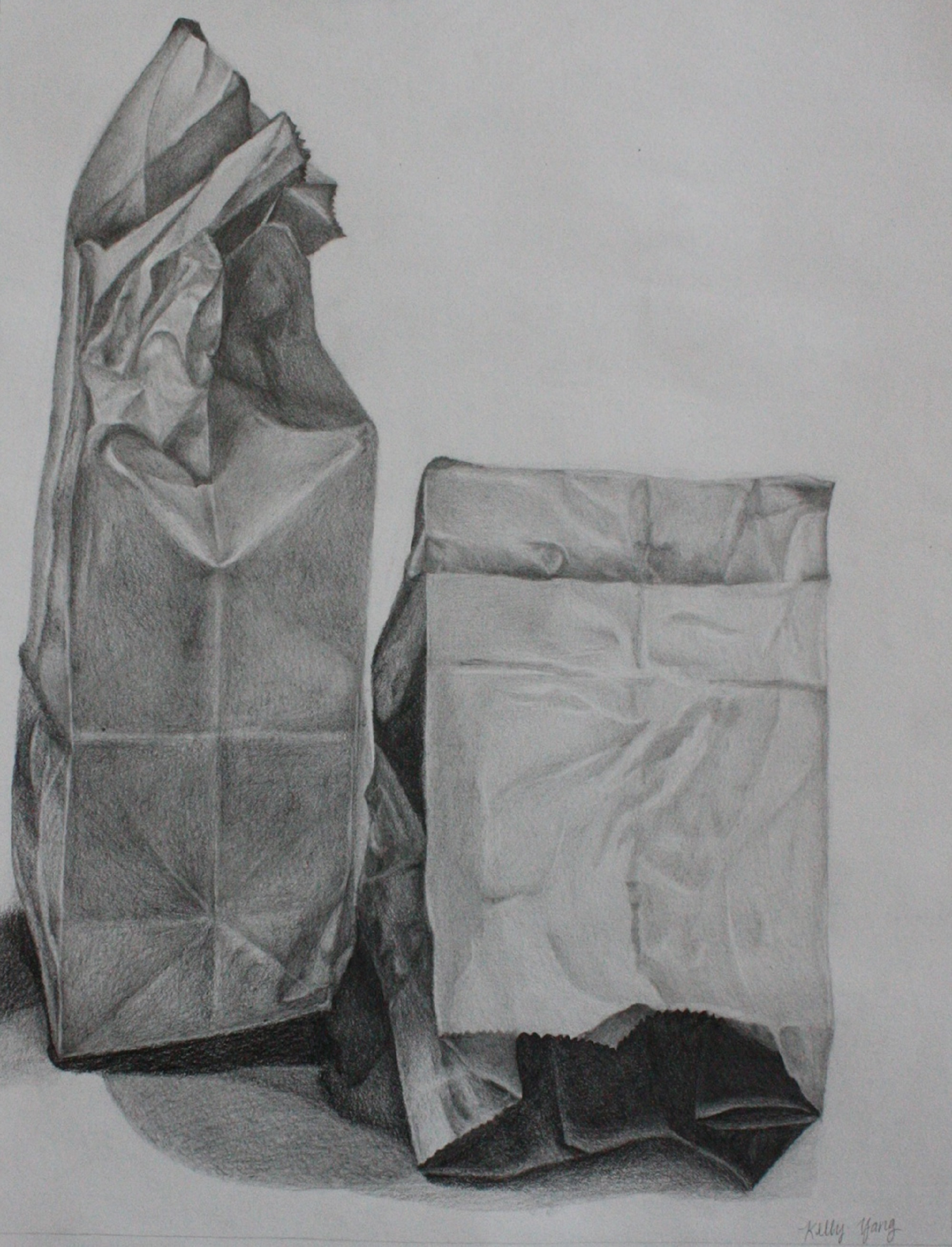 Crumpled Paper Drawing Drawn Paper Sketch - Pencil And In Color ...