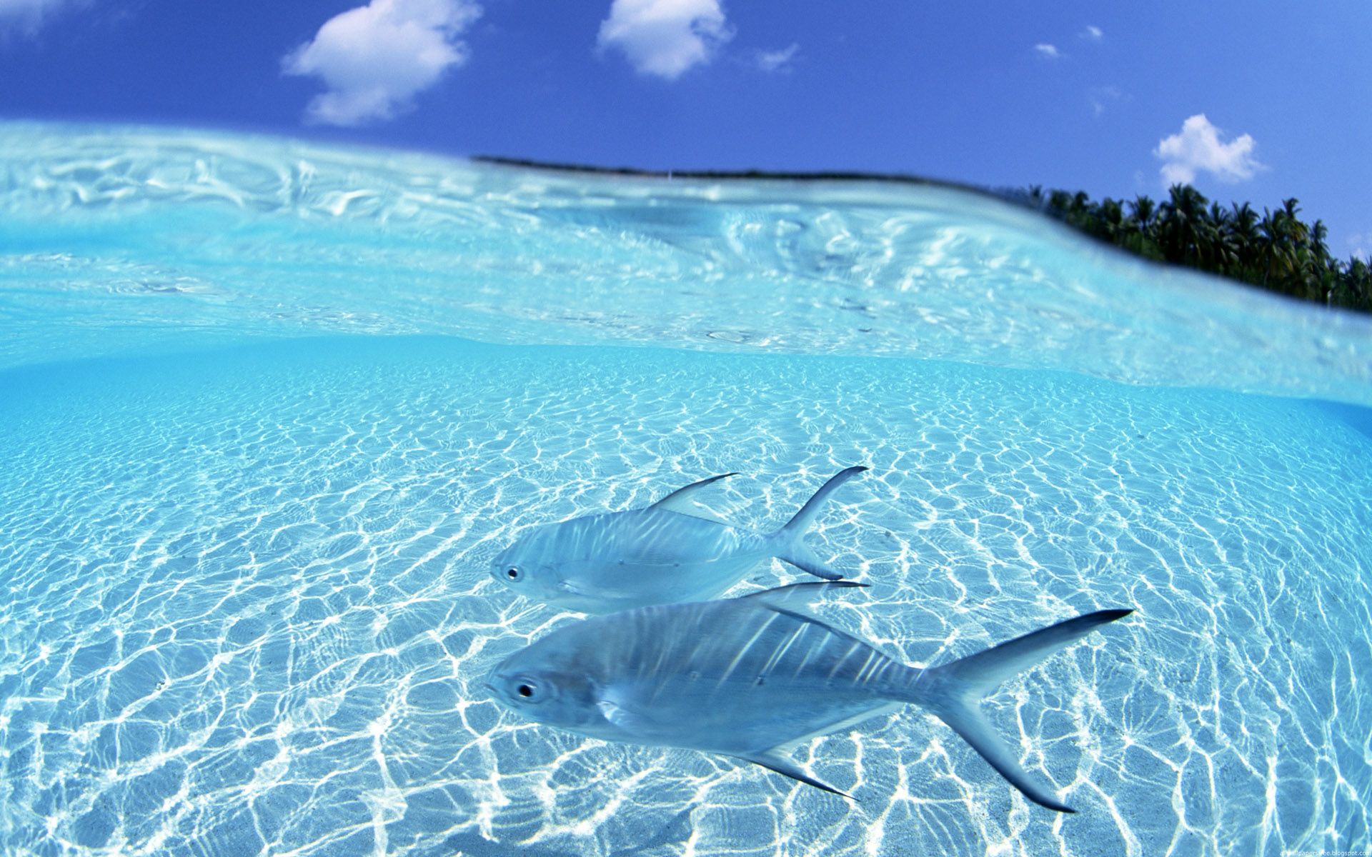 Crystal clear water photo