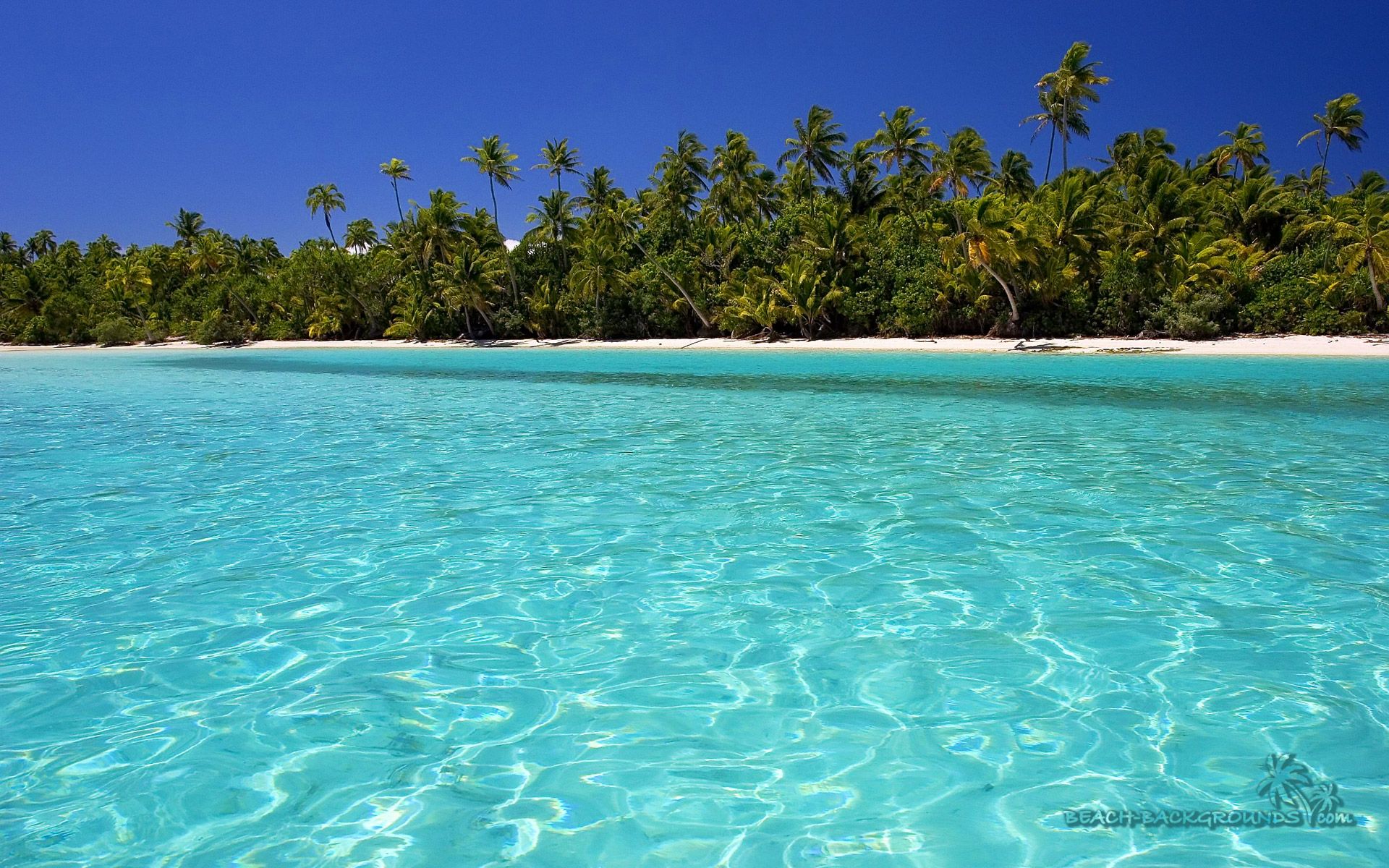 Can you say clear water??(: | Summmmmer | Pinterest | Tropical ...