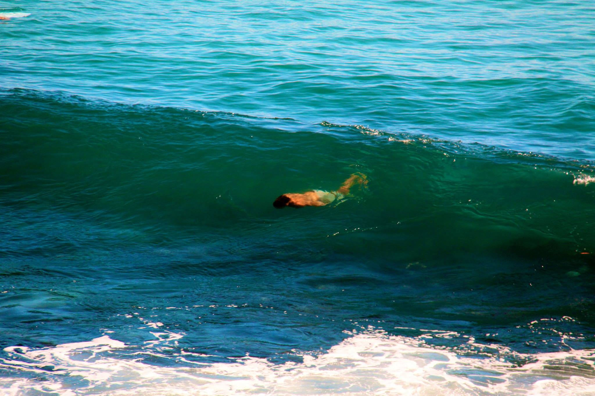 File:Bodysurfer under crystal clear water.jpg - Wikimedia Commons