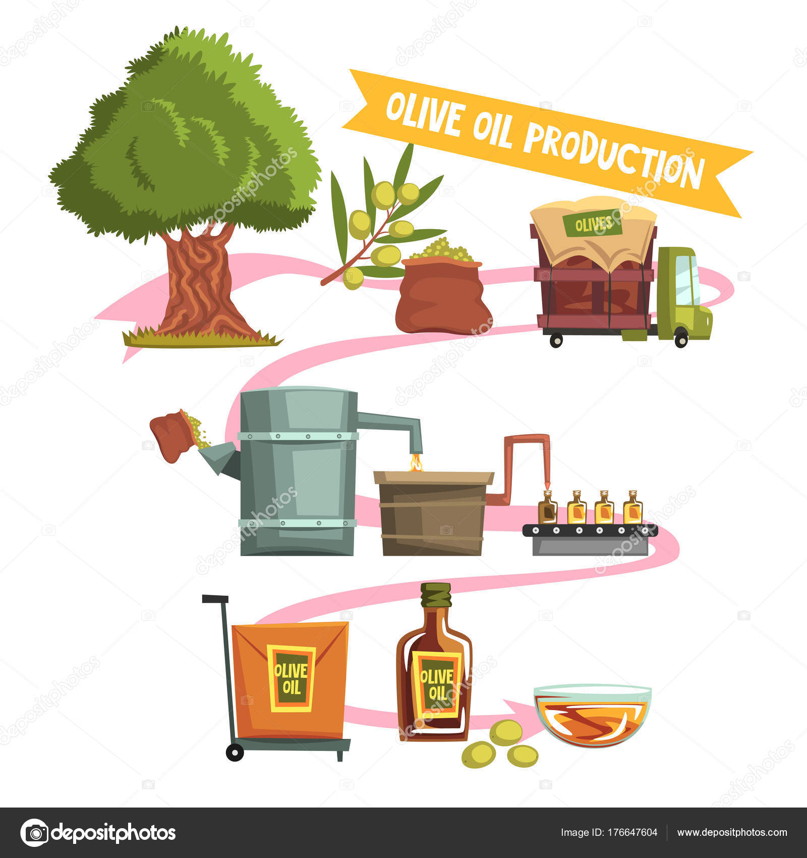 Process of olive oil production from cultivation to finished product ...