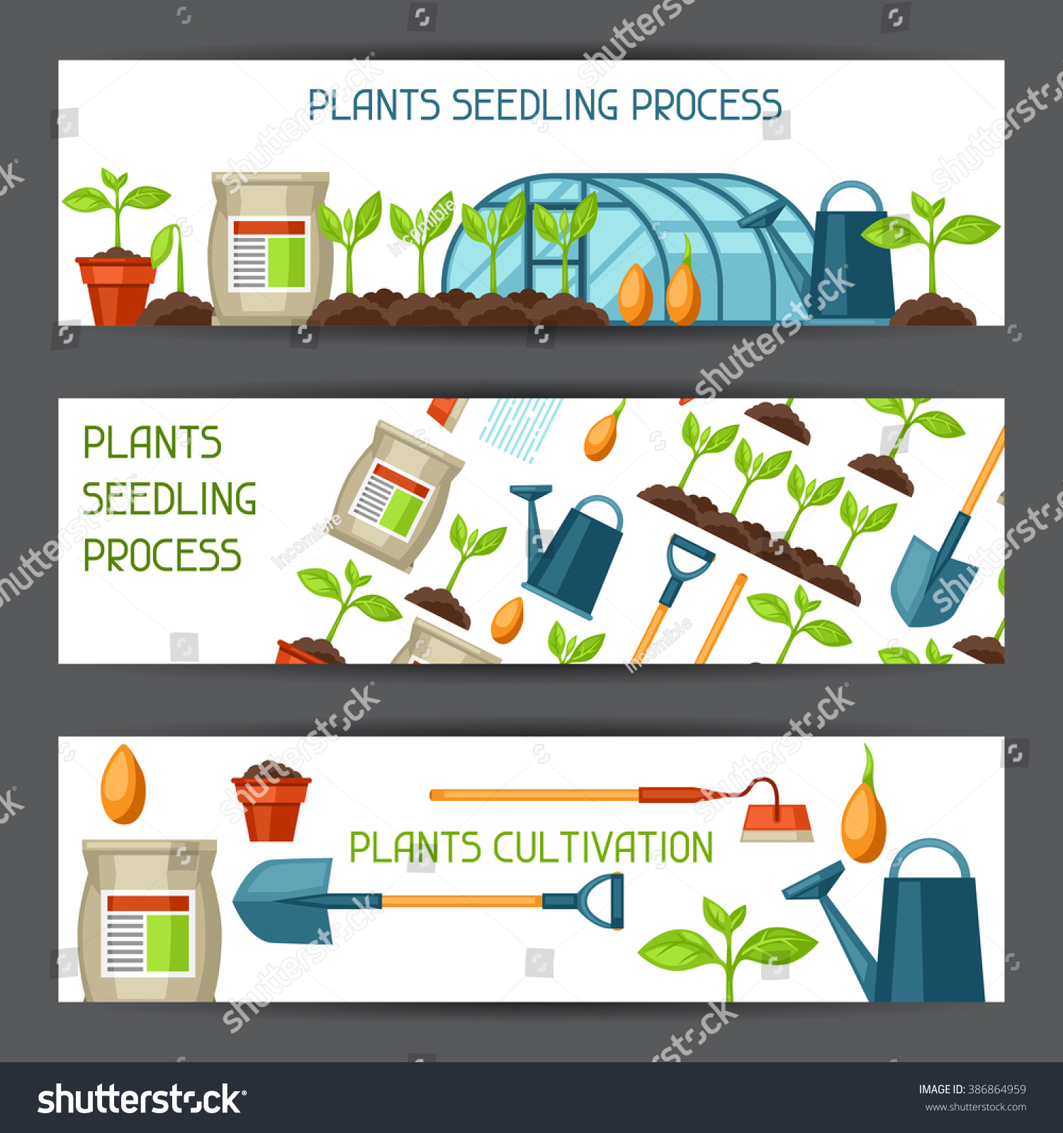 Banners Cultivation Plants Seedling Process Stage Stock Vector (2018 ...