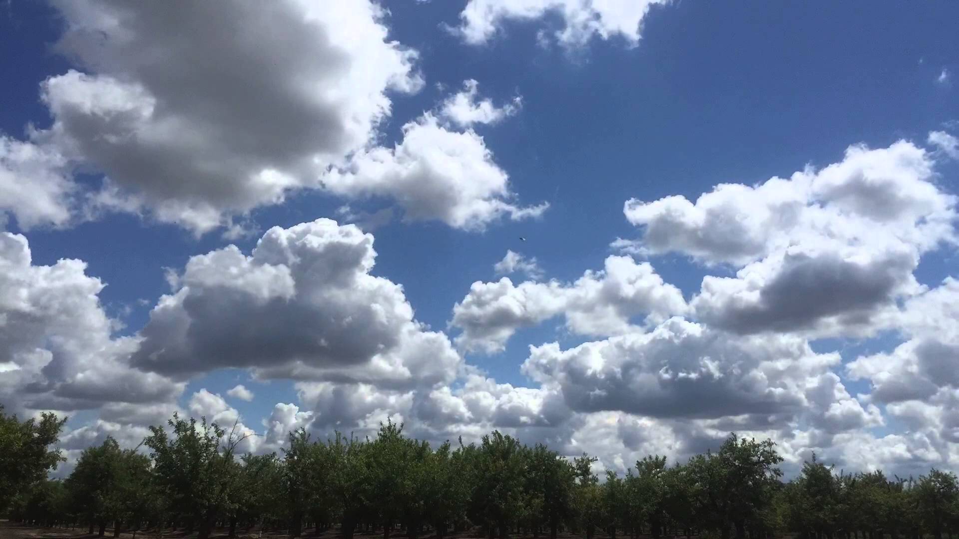 Cumulus Clouds Over Visalia California Time-lapse 4-8-2015 - YouTube