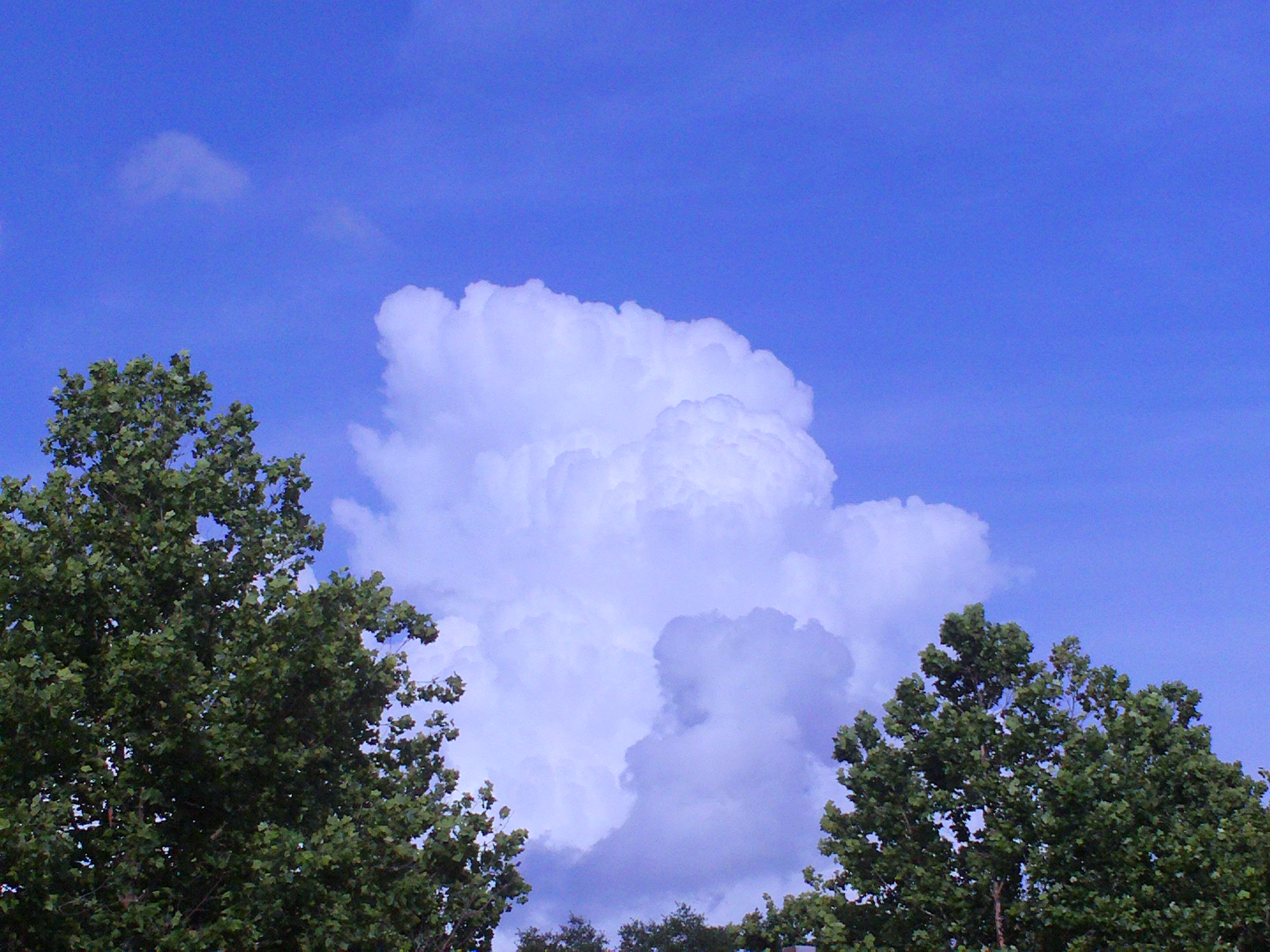 Cumulus cloud over orlando photo
