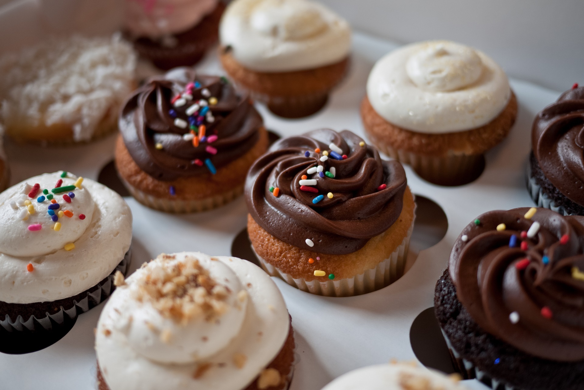 Cup cakes photo