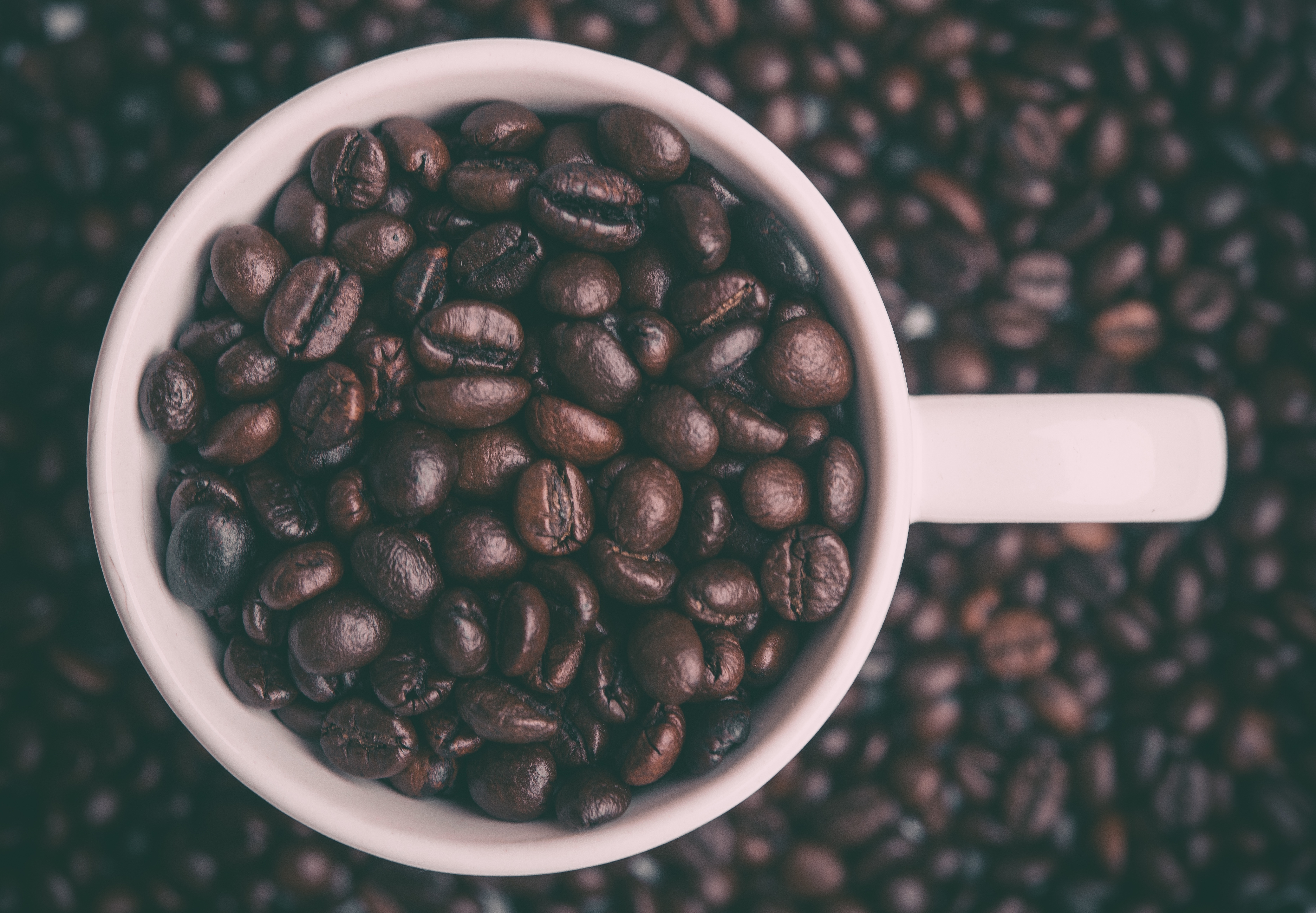 Cup of Coffee Beans, Bean, Black, Coffee, Coffee images, HQ Photo