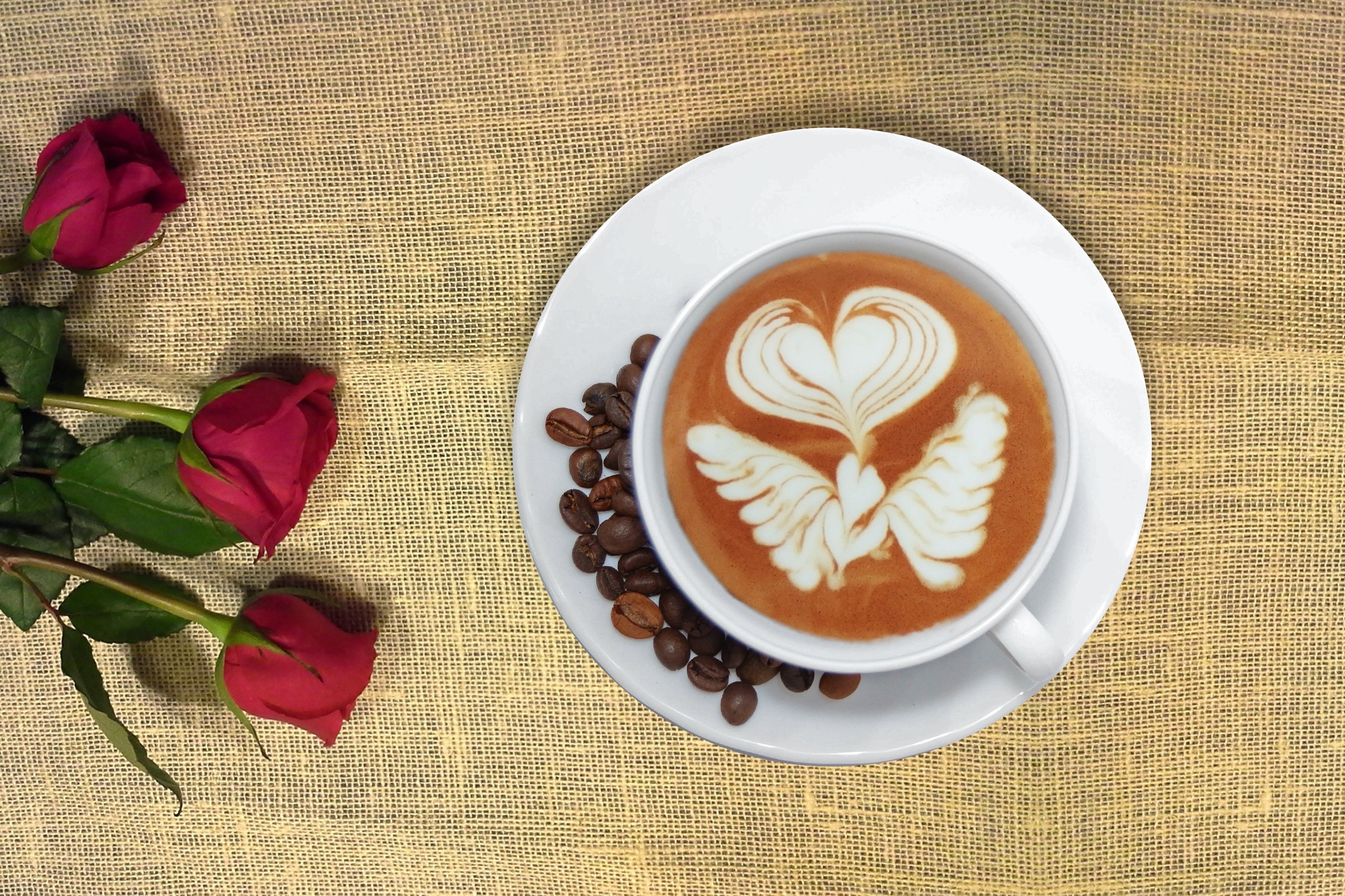 Cup of Coffee in Distance With Red Rose, Aroma, Red roses, Latte art, Liquid, HQ Photo