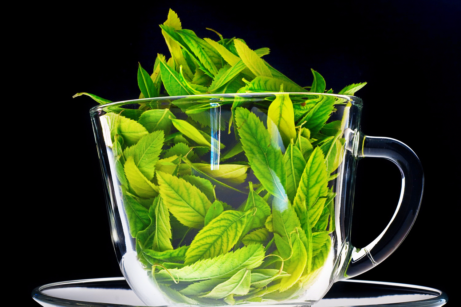 Cup with leaves photo