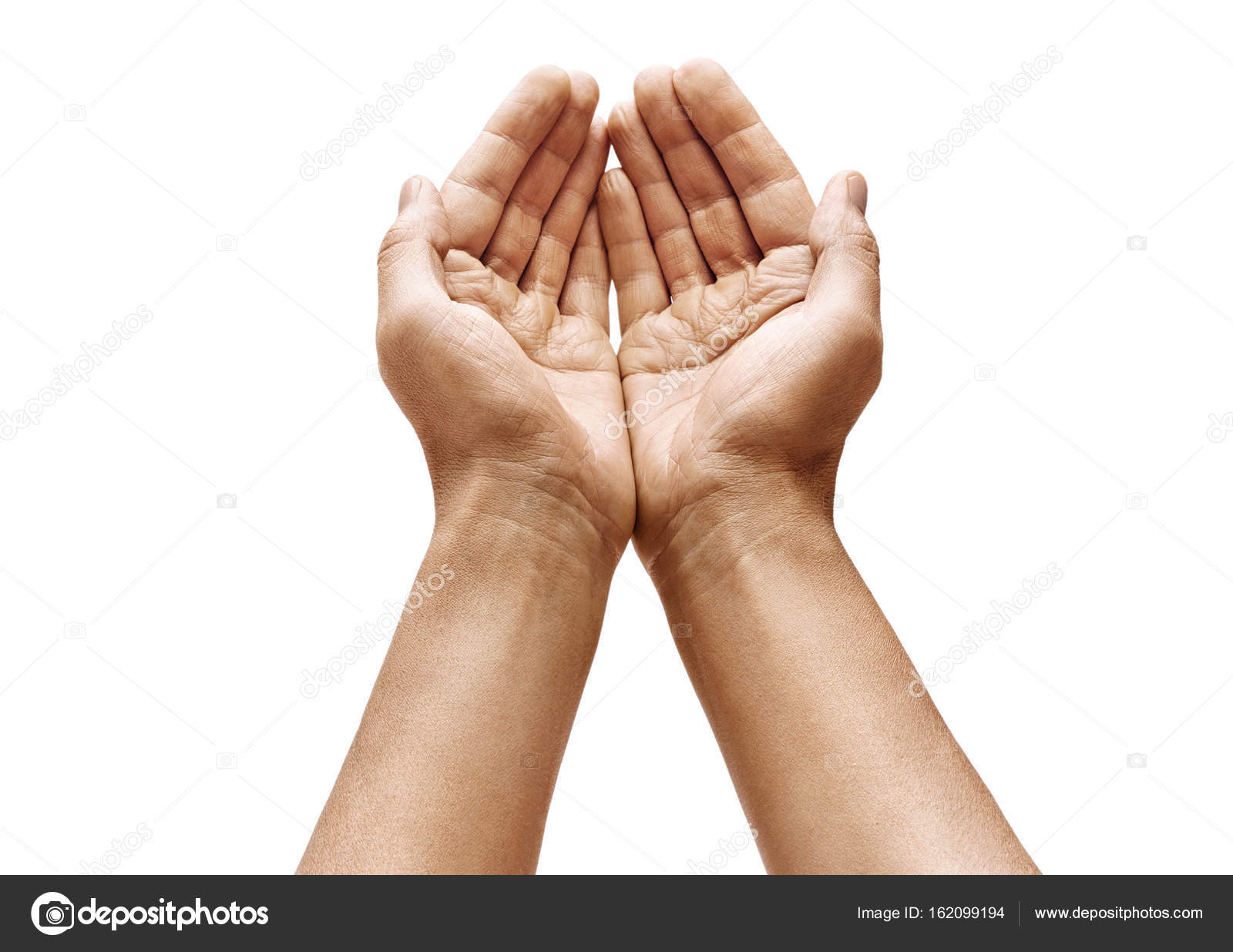 Man's cupped hands showing something on white background. — Stock ...