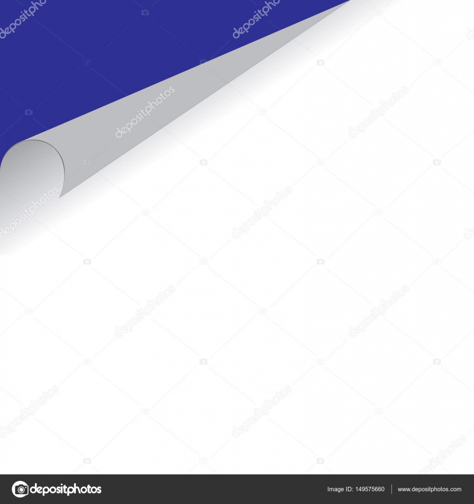 sheet of curled paper — Stock Vector © banan212 #149575660