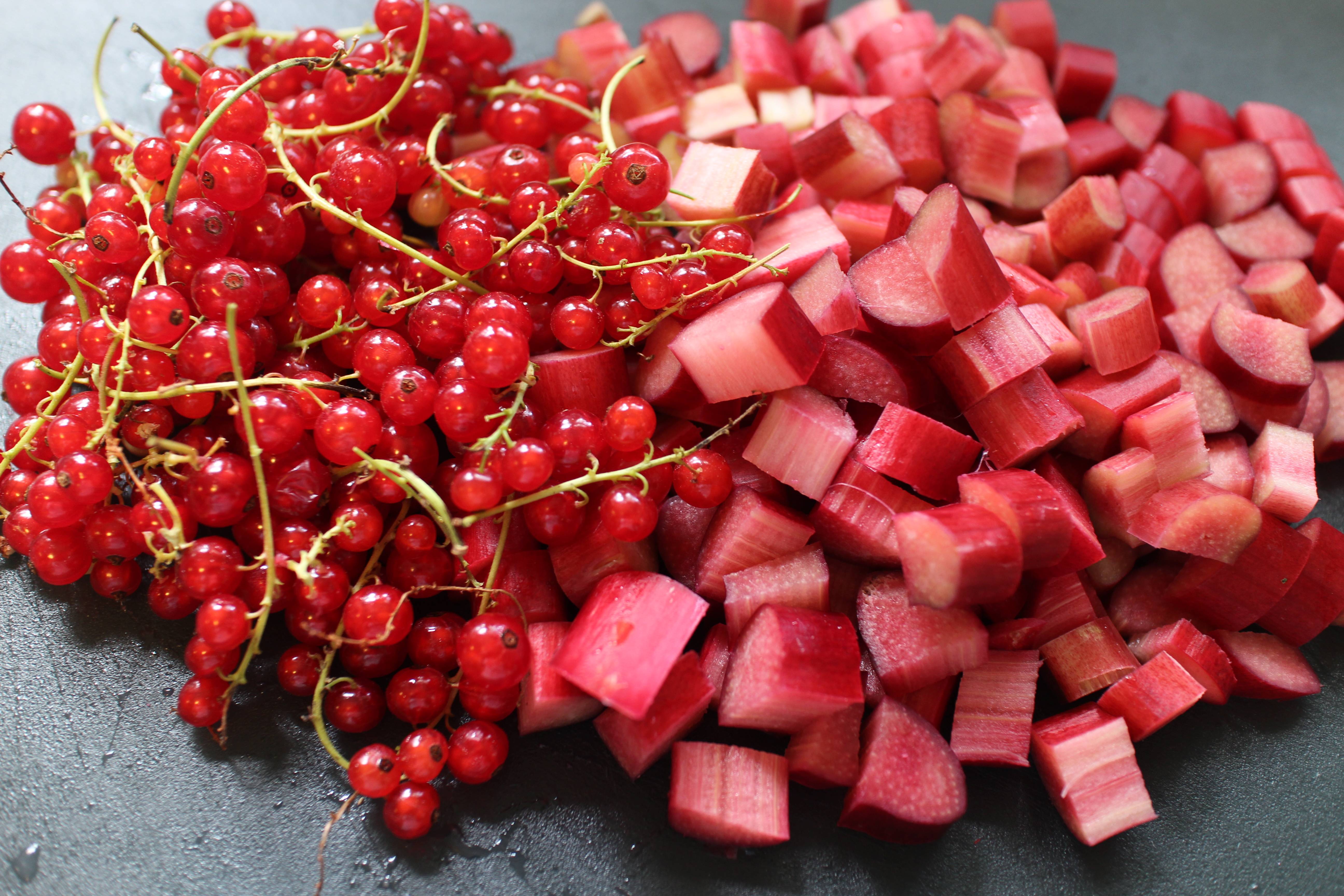 Rhubarb Currant Jam – PROSPECT THE PANTRY