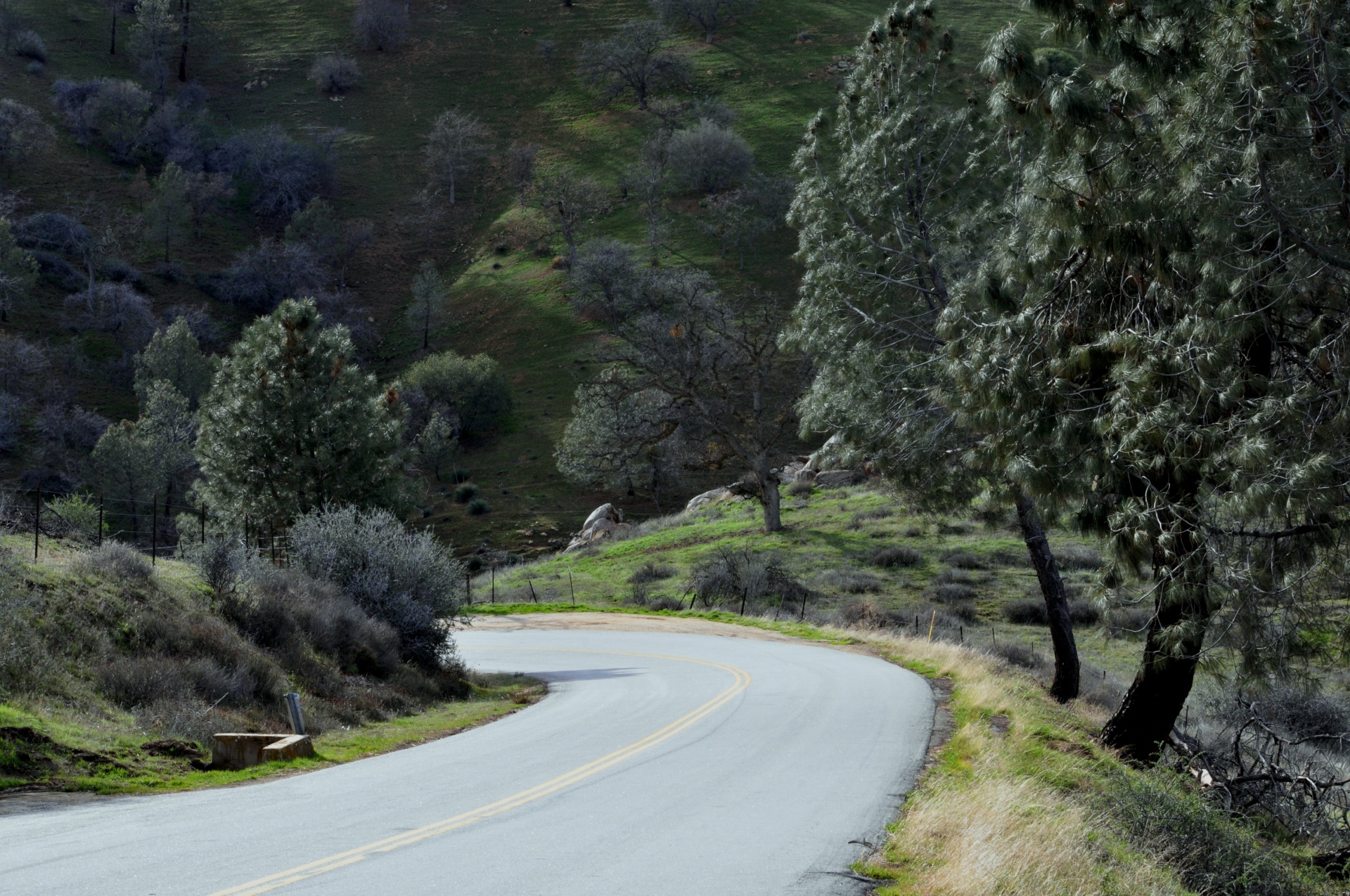 Curved Road Free Stock Photo - Public Domain Pictures