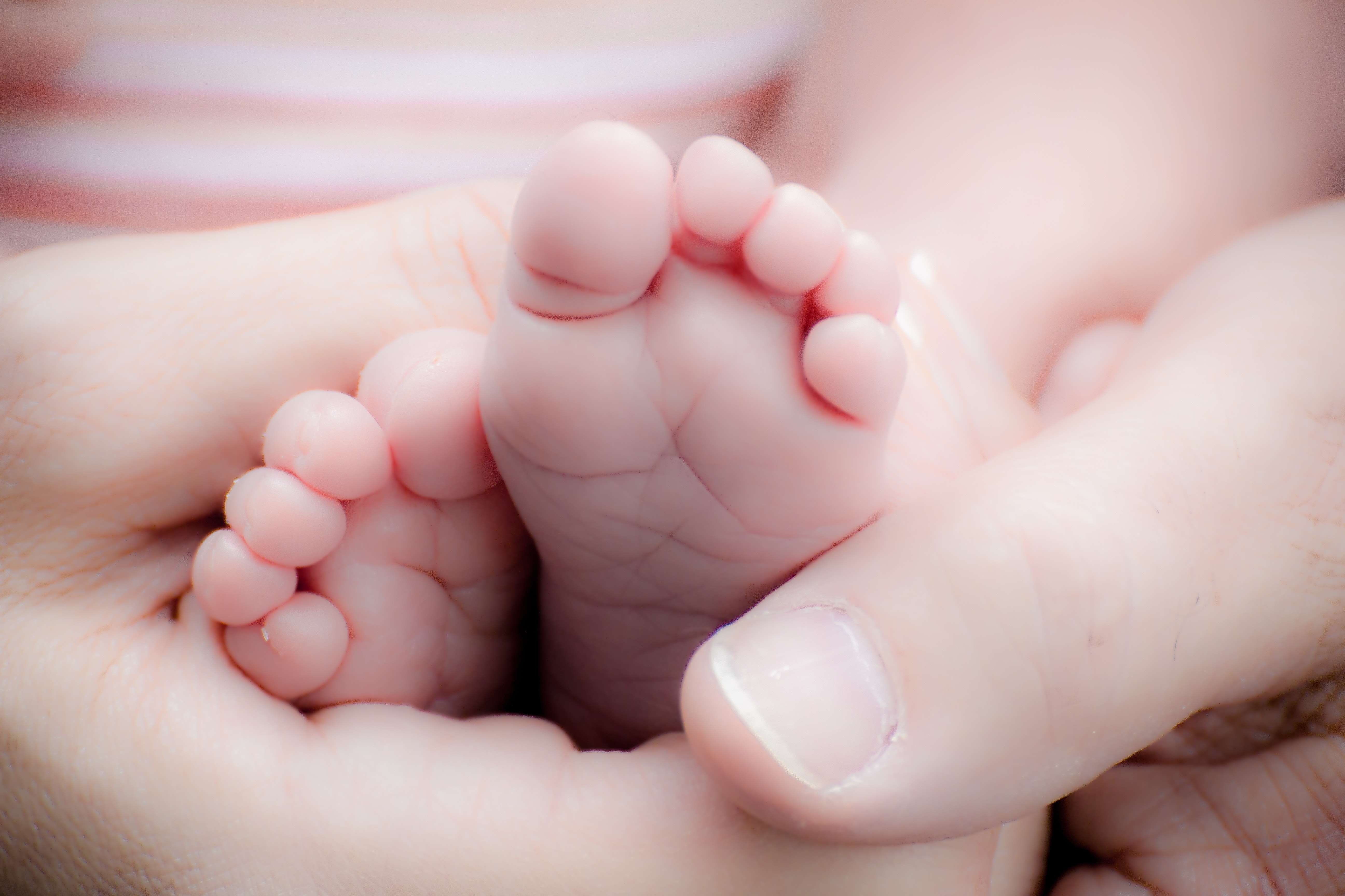 177 Heartwarming Baby Photos · Pexels · Free Stock Photos