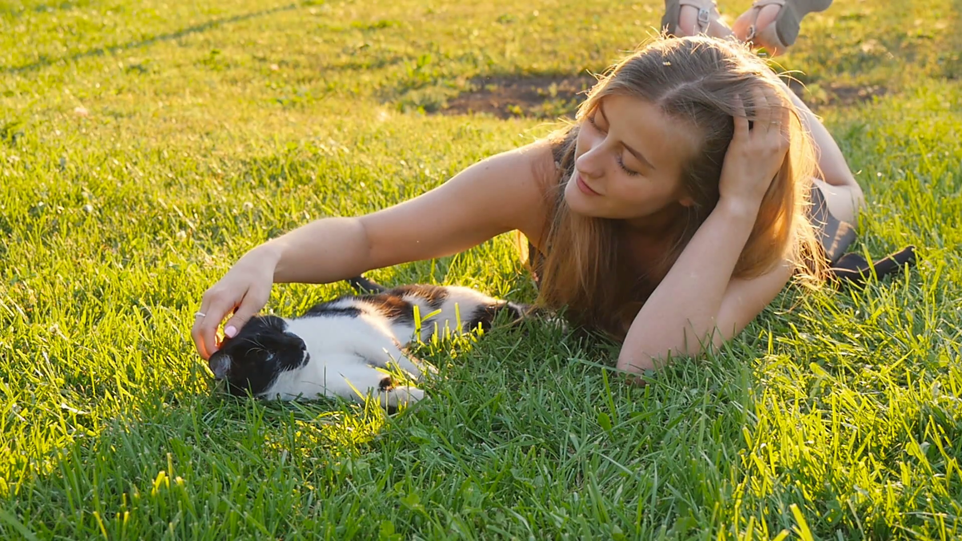 Happy cute girl playing with adorable cats Stock Video Footage ...