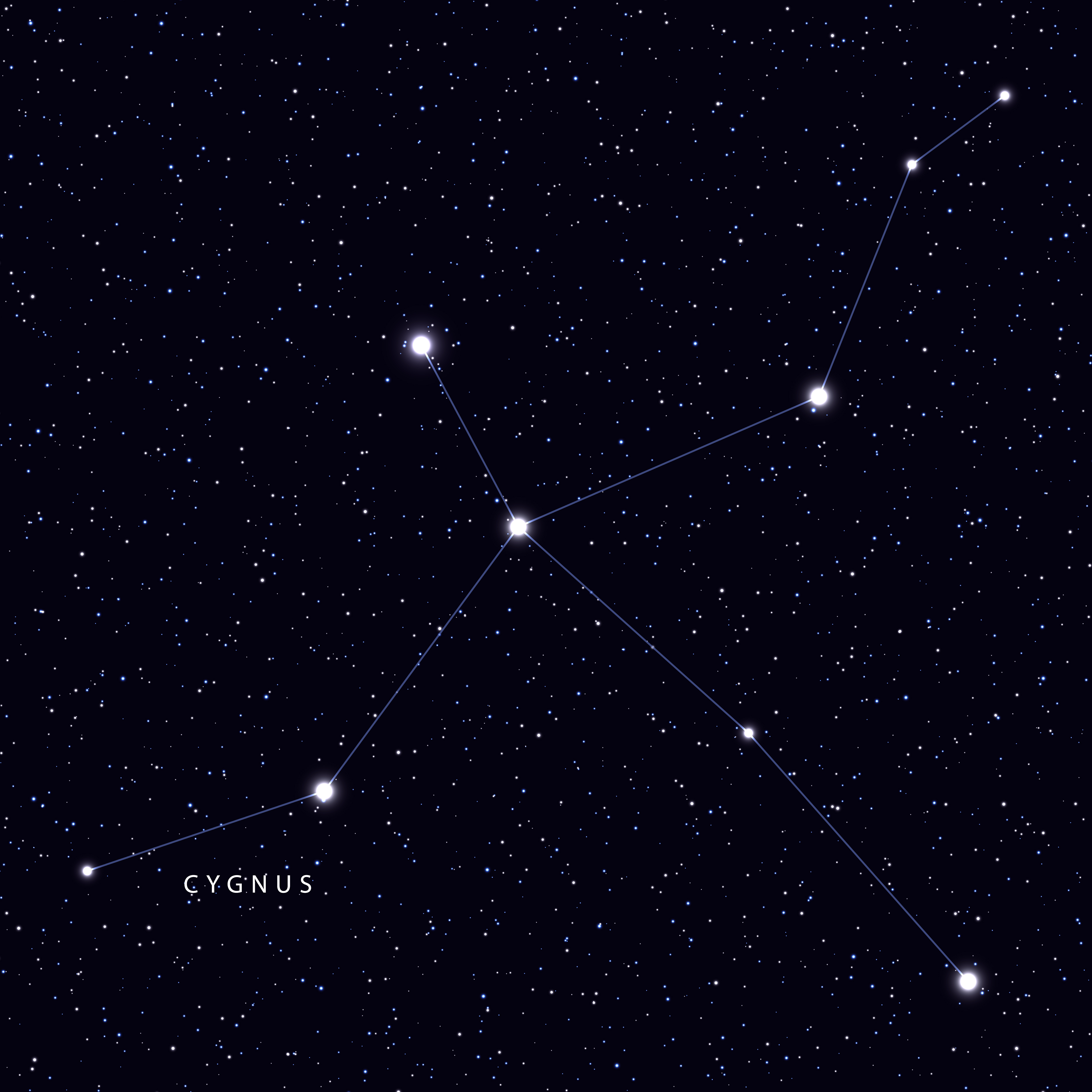 Cygnus photo