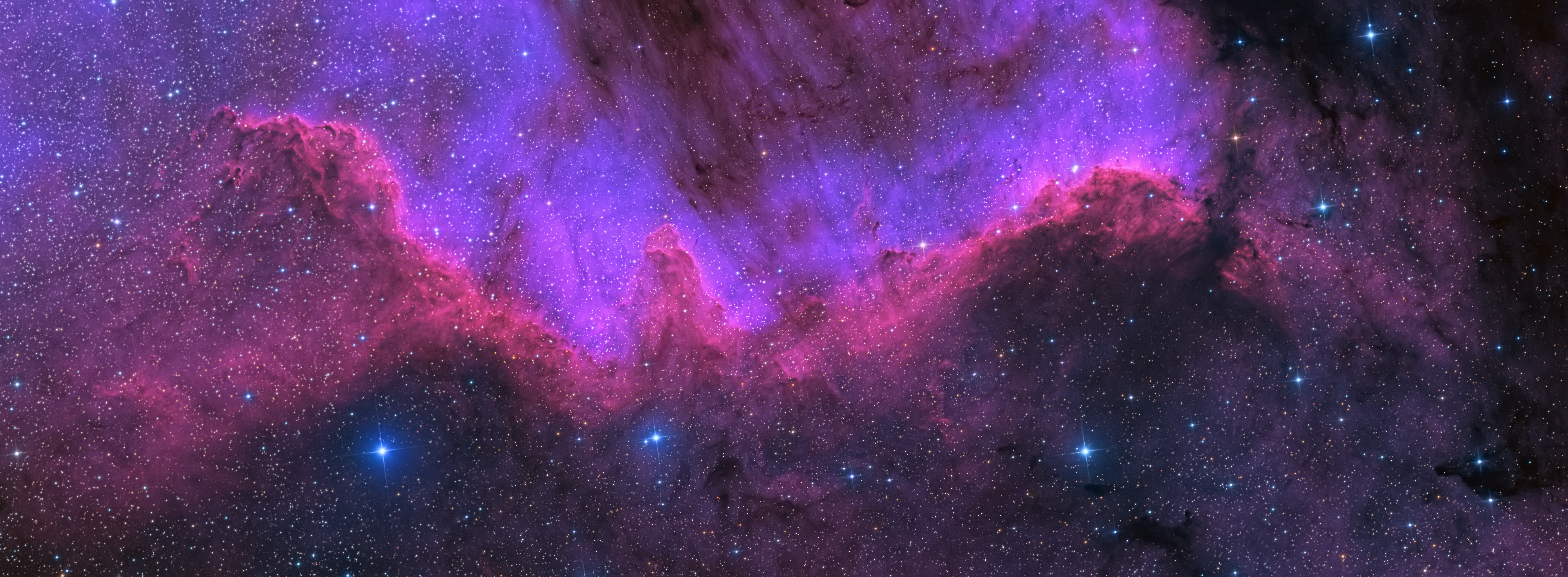 Cygnus (constellation) - Wikipedia