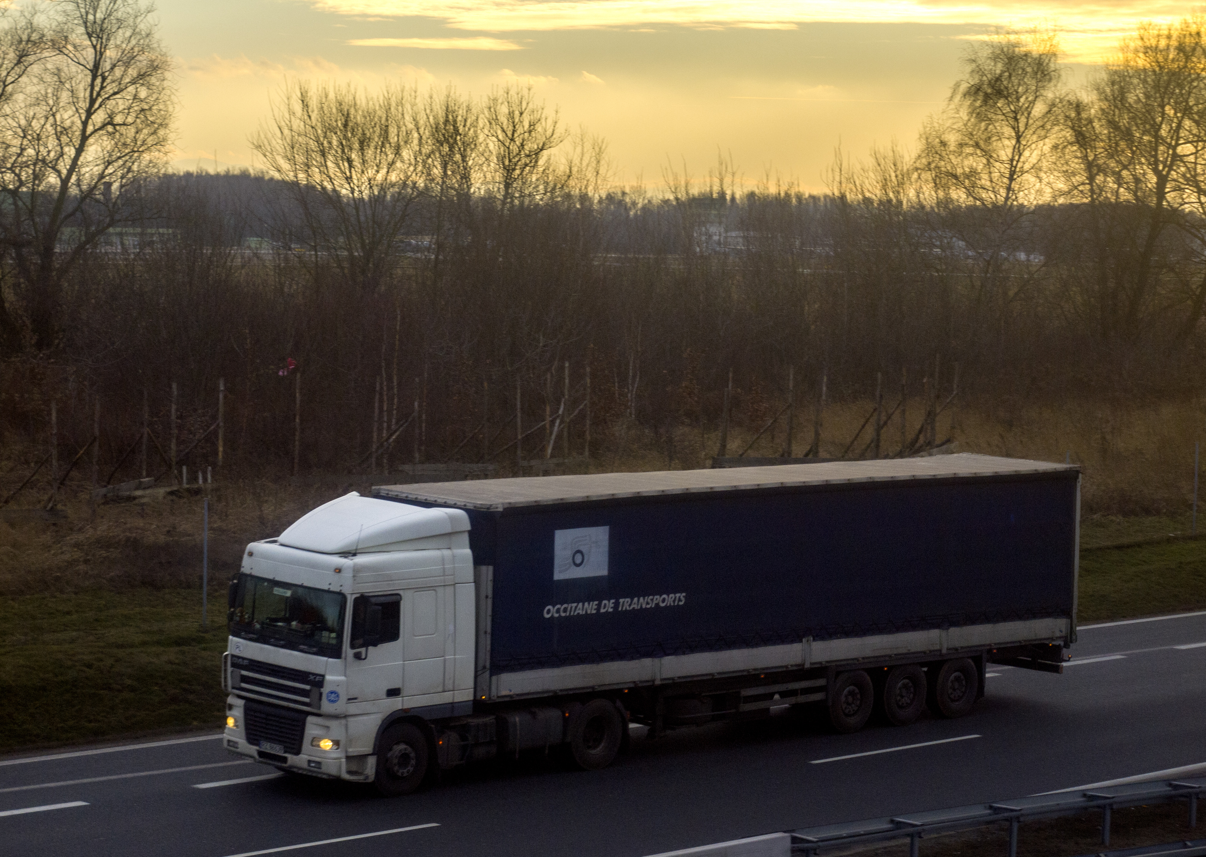 Daf truck, Car, Forwarding, Freight, Goods, HQ Photo