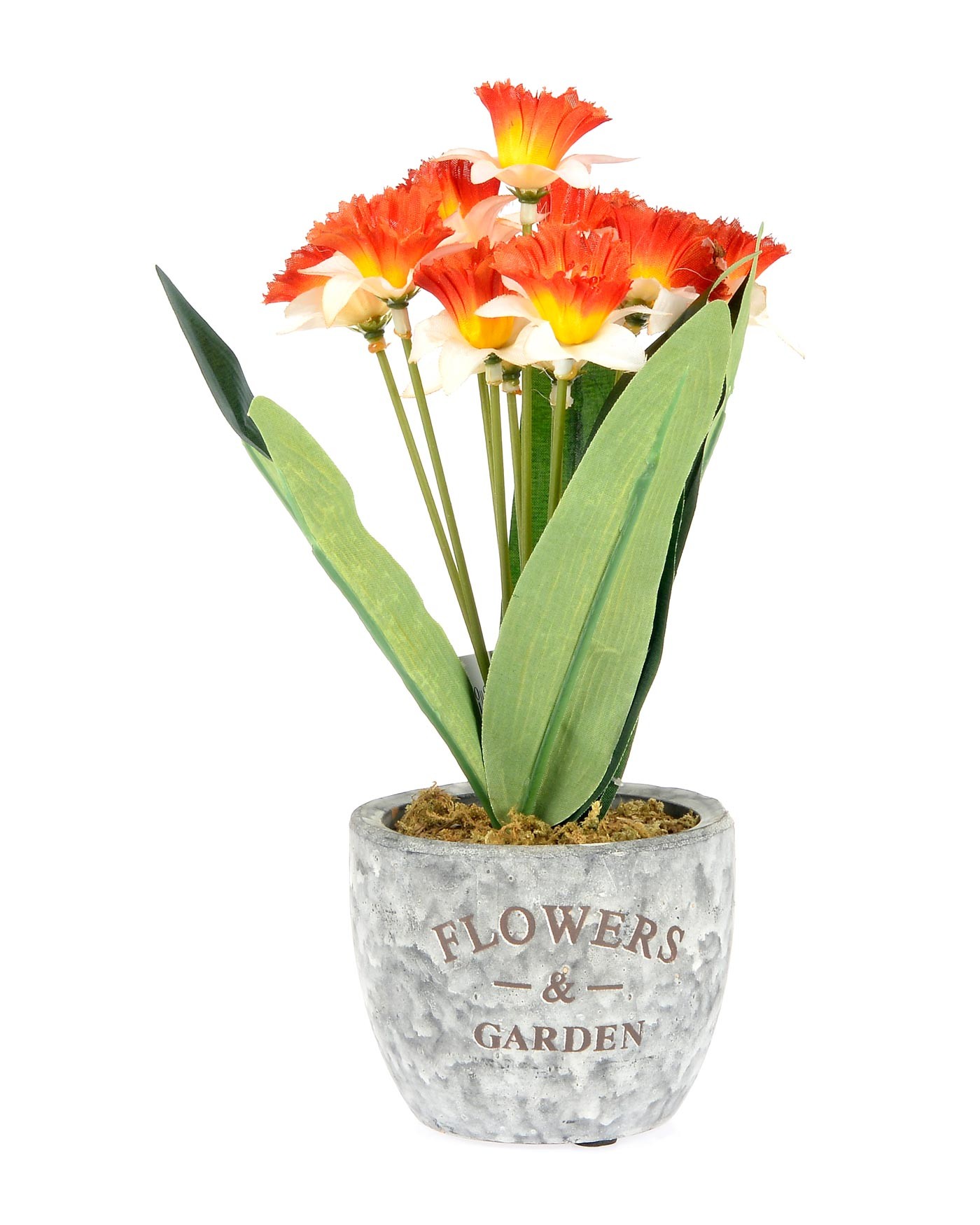 Artificial Orange and Cream Narcissus Daffodil in Textured Pot ...
