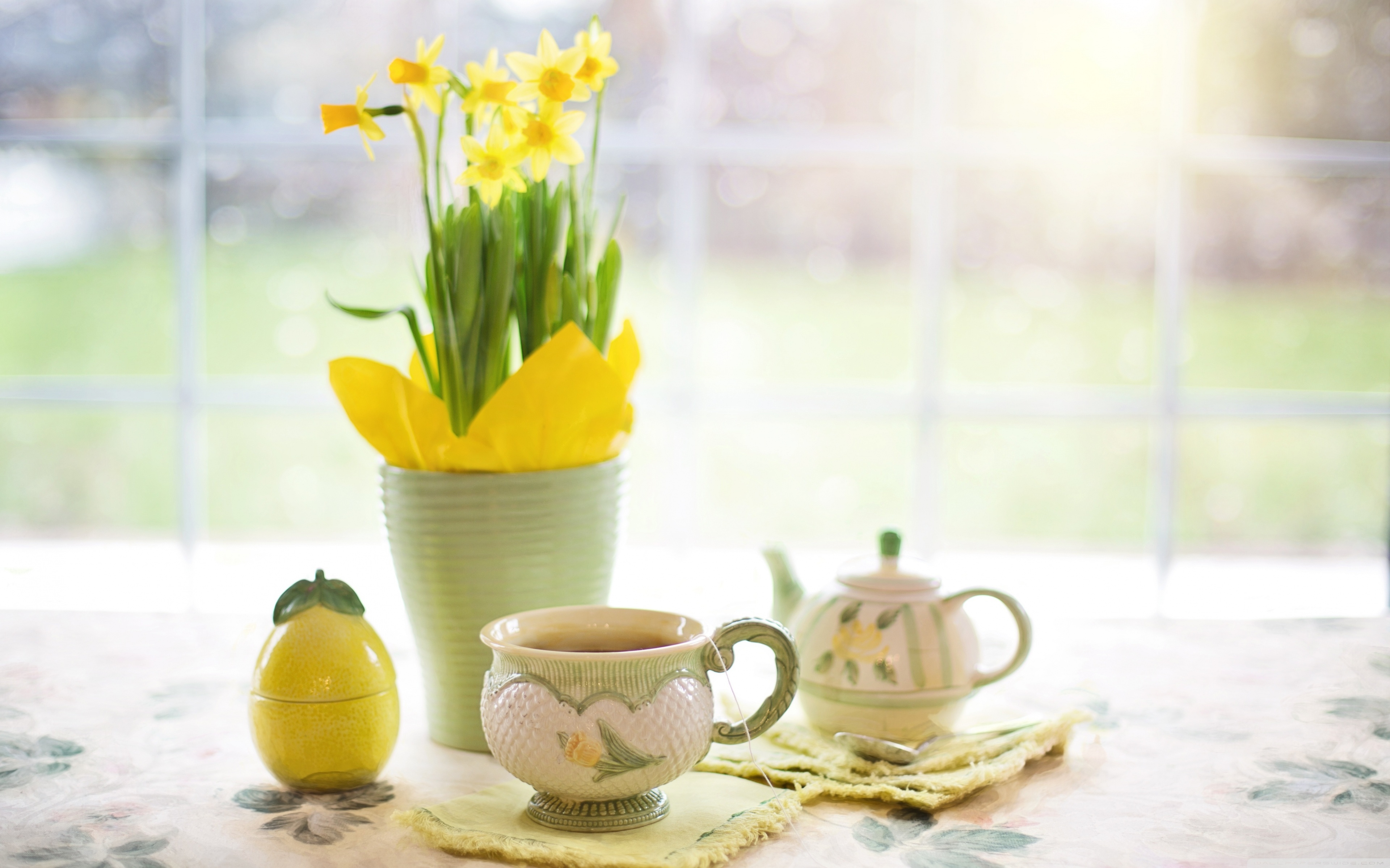 Cup of Tea, Daffodils Flowers, Spring ❤ 4K HD Desktop Wallpaper for ...