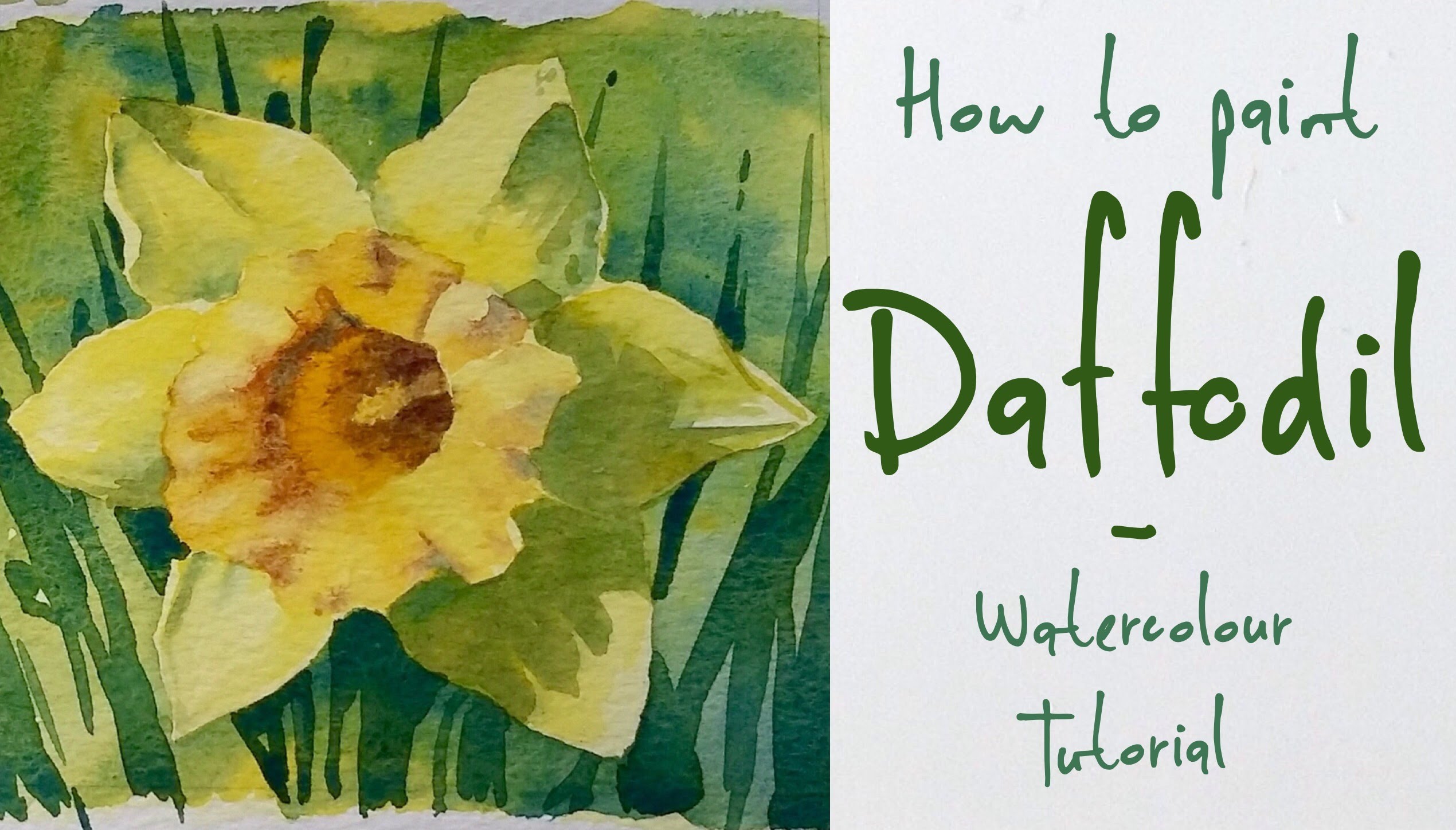 How to paint a Daffodil flower - Watercolour tutorial - YouTube