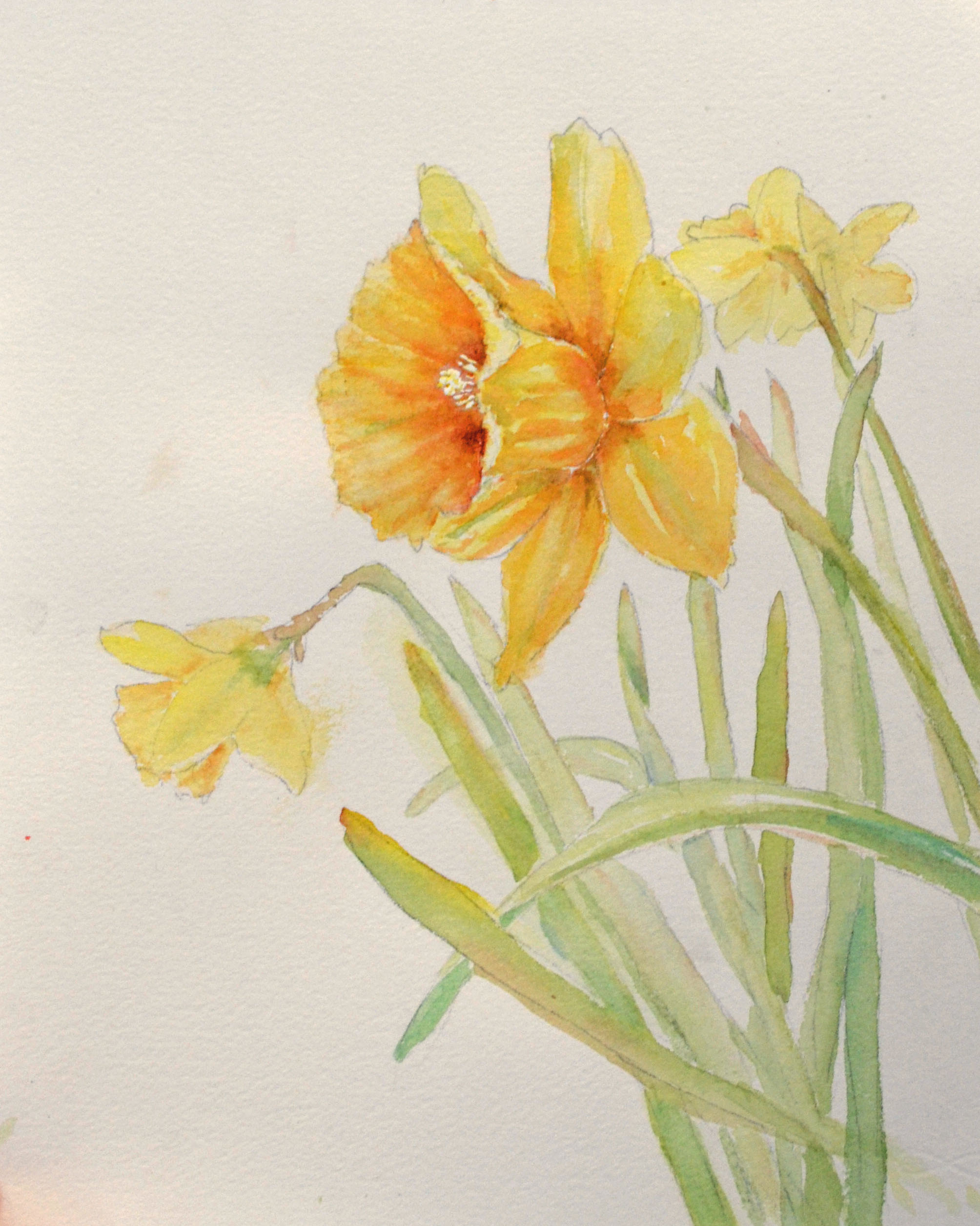 Lesson – Daffodil, Painting Value in Yellows | Grandma Paints
