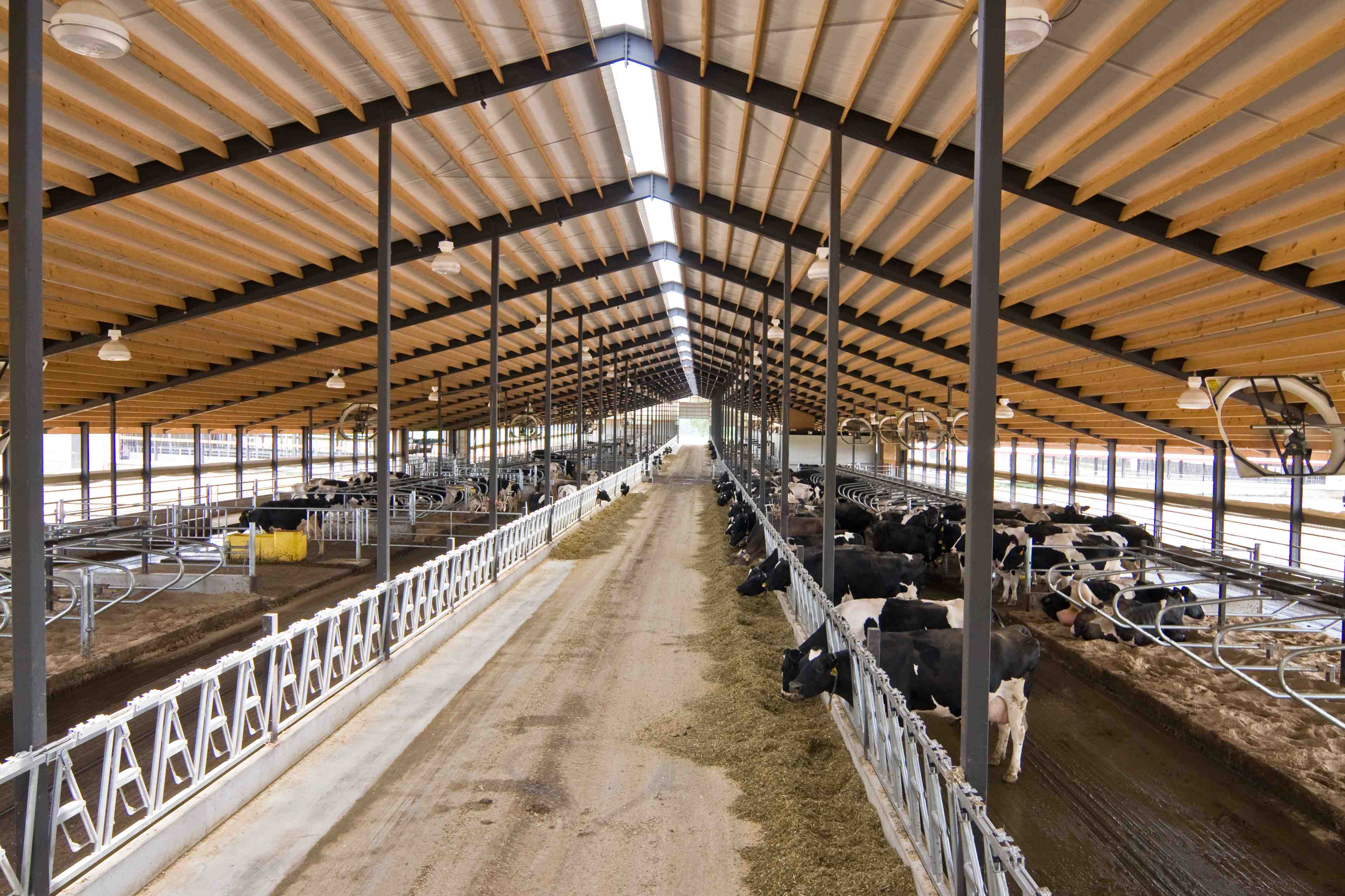 Emmons Blaine Dairy Cattle Research Center (Arlington Dairy) | Dairy ...
